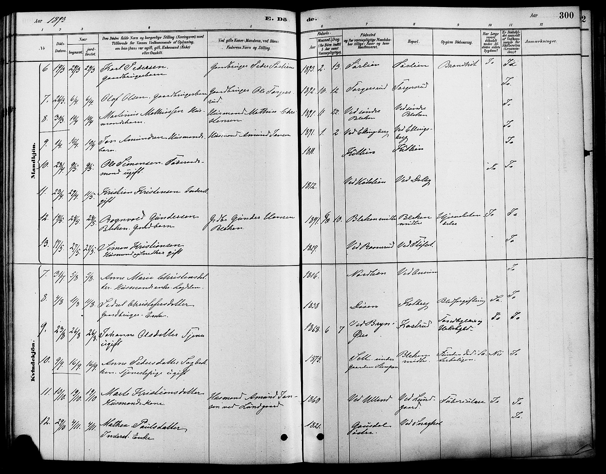 Fåberg prestekontor, AV/SAH-PREST-086/H/Ha/Haa/L0008: Parish register (official) no. 8, 1879-1898, p. 300