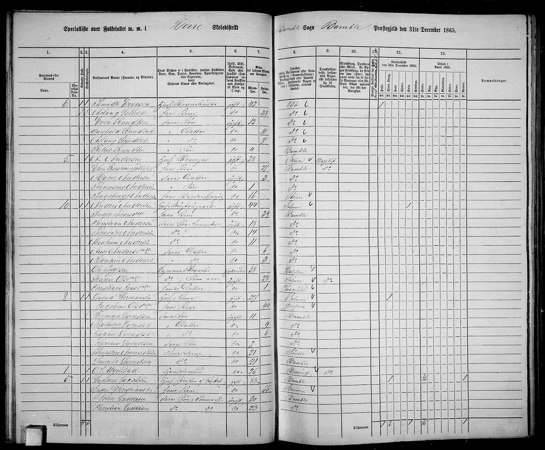 RA, 1865 census for Bamble, 1865, p. 37