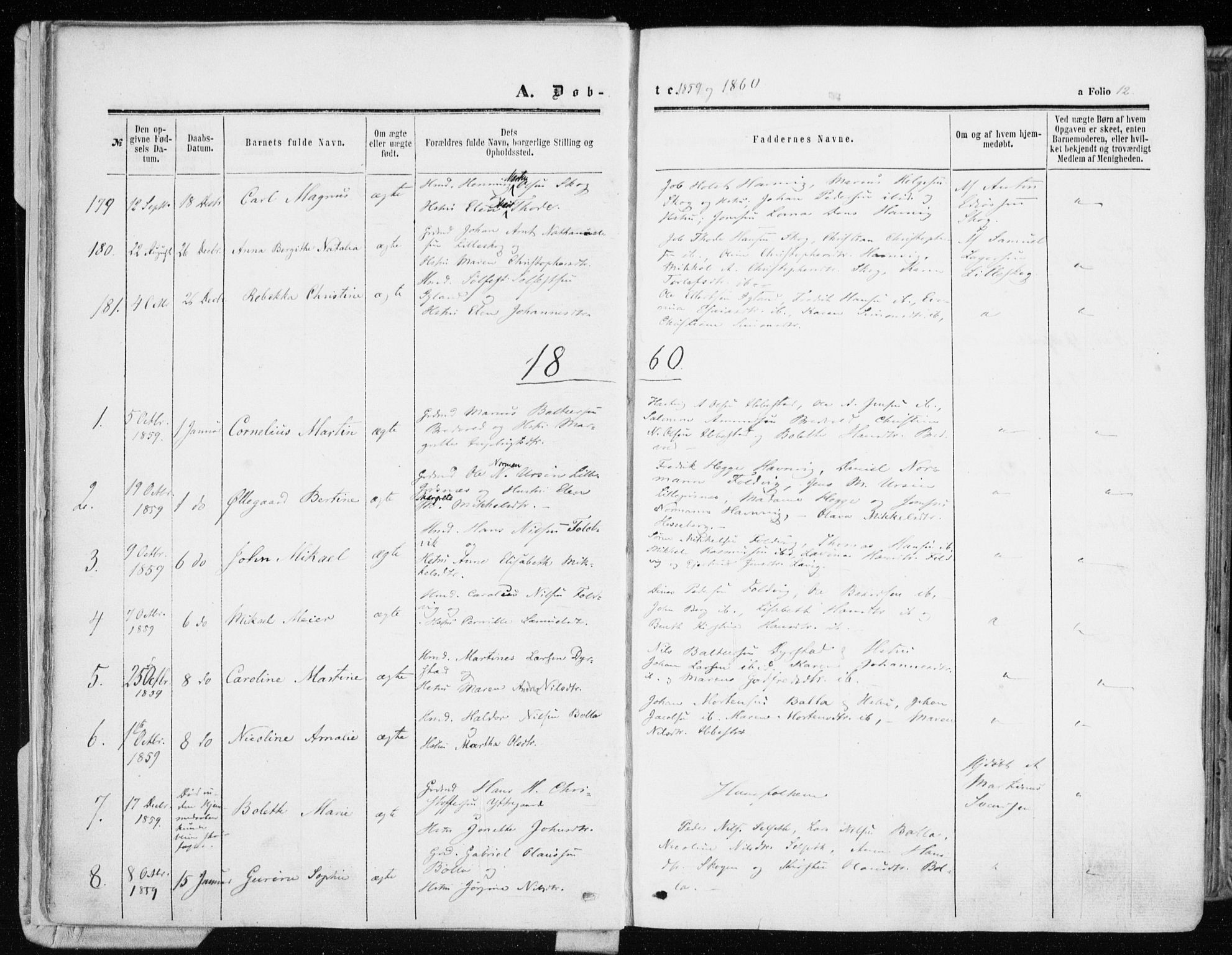 Ibestad sokneprestembete, AV/SATØ-S-0077/H/Ha/Haa/L0009kirke: Parish register (official) no. 9, 1859-1868, p. 12