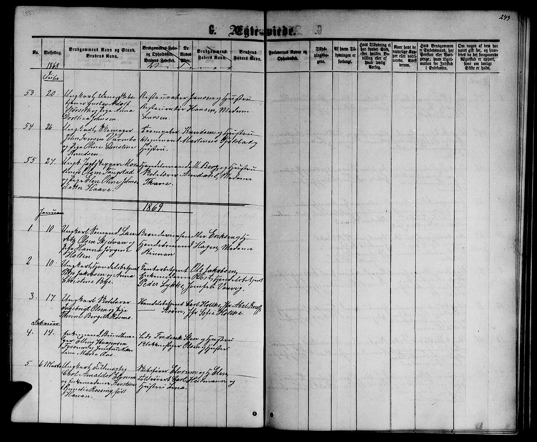 Ministerialprotokoller, klokkerbøker og fødselsregistre - Sør-Trøndelag, SAT/A-1456/601/L0087: Parish register (copy) no. 601C05, 1864-1881, p. 243
