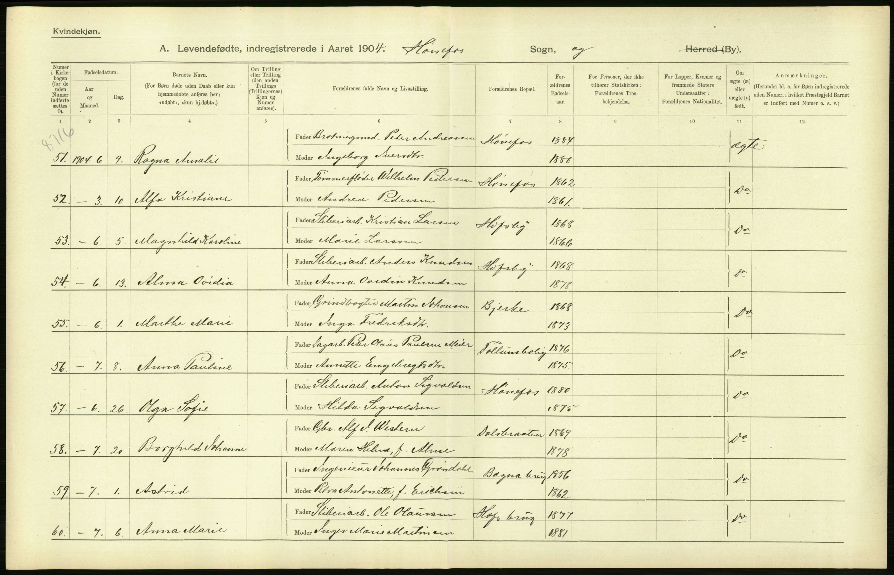 Statistisk sentralbyrå, Sosiodemografiske emner, Befolkning, AV/RA-S-2228/D/Df/Dfa/Dfab/L0007: Buskerud amt: Fødte, gifte, døde, 1904, p. 364