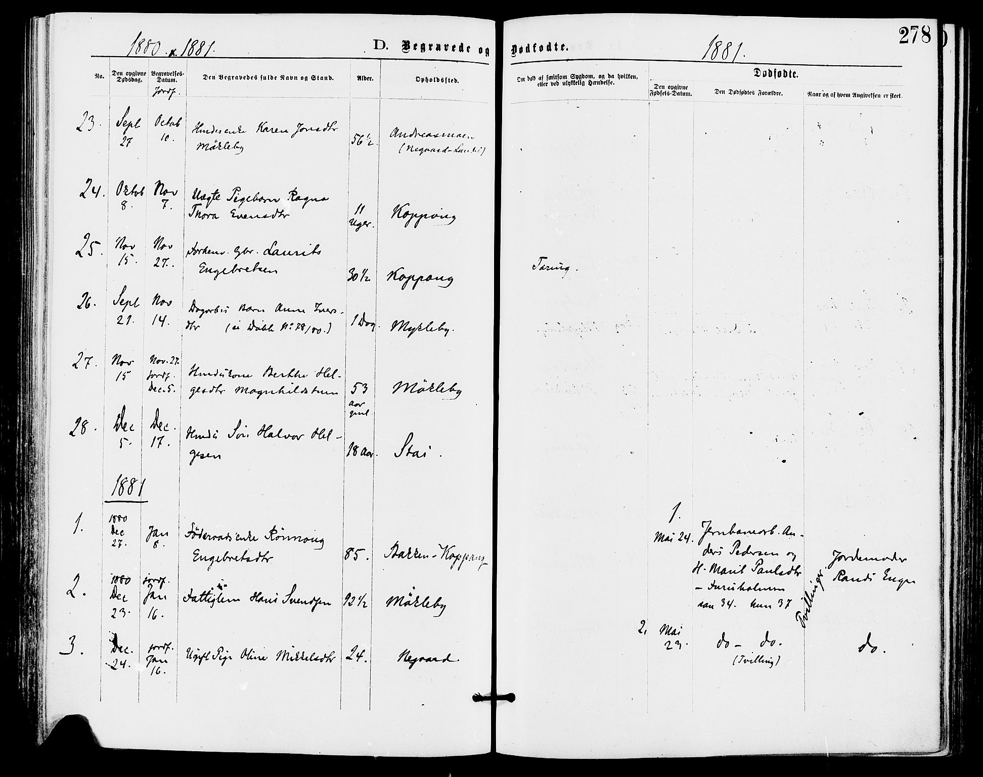 Stor-Elvdal prestekontor, SAH/PREST-052/H/Ha/Haa/L0001: Parish register (official) no. 1, 1871-1882, p. 278