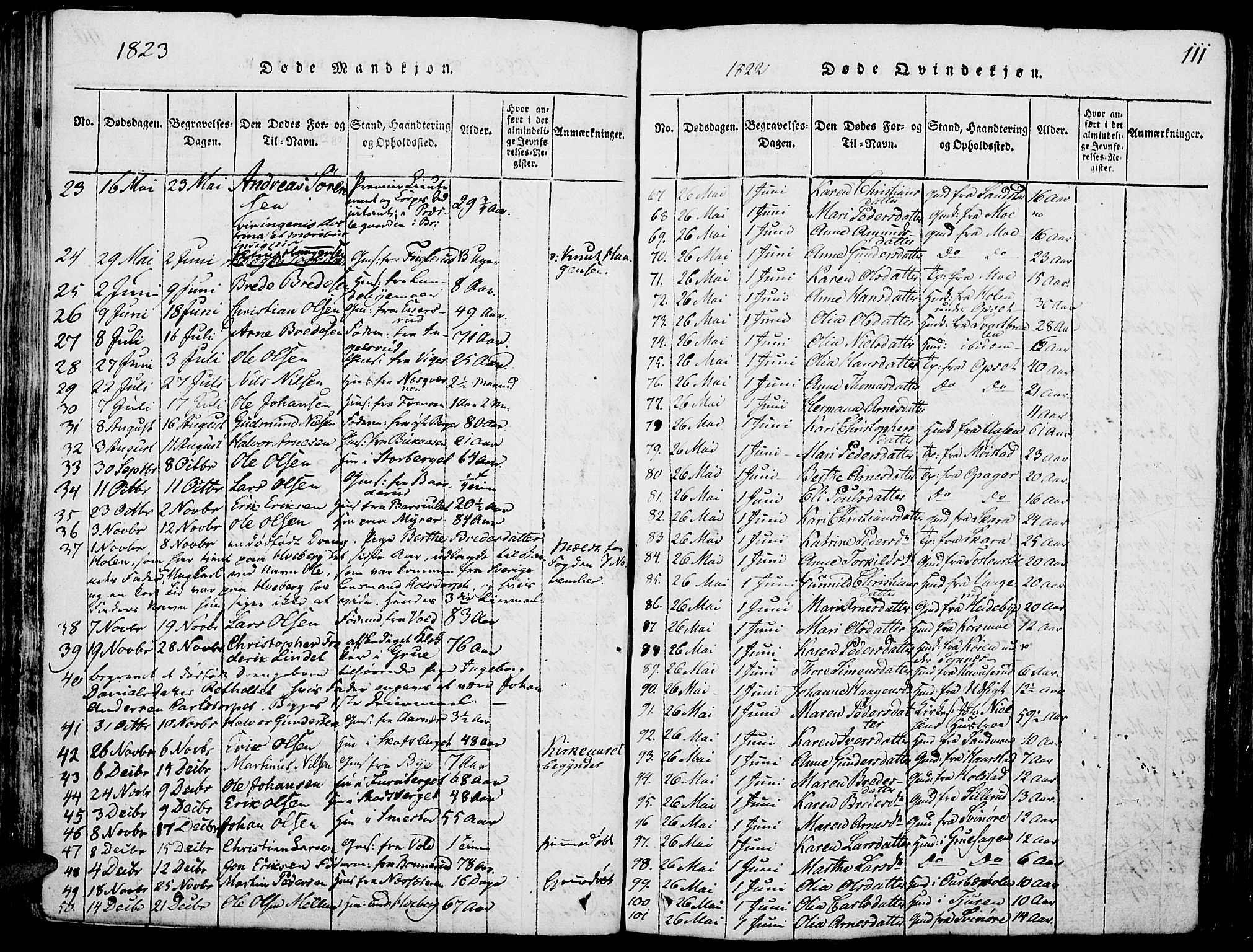 Grue prestekontor, SAH/PREST-036/H/Ha/Haa/L0006: Parish register (official) no. 6, 1814-1830, p. 111