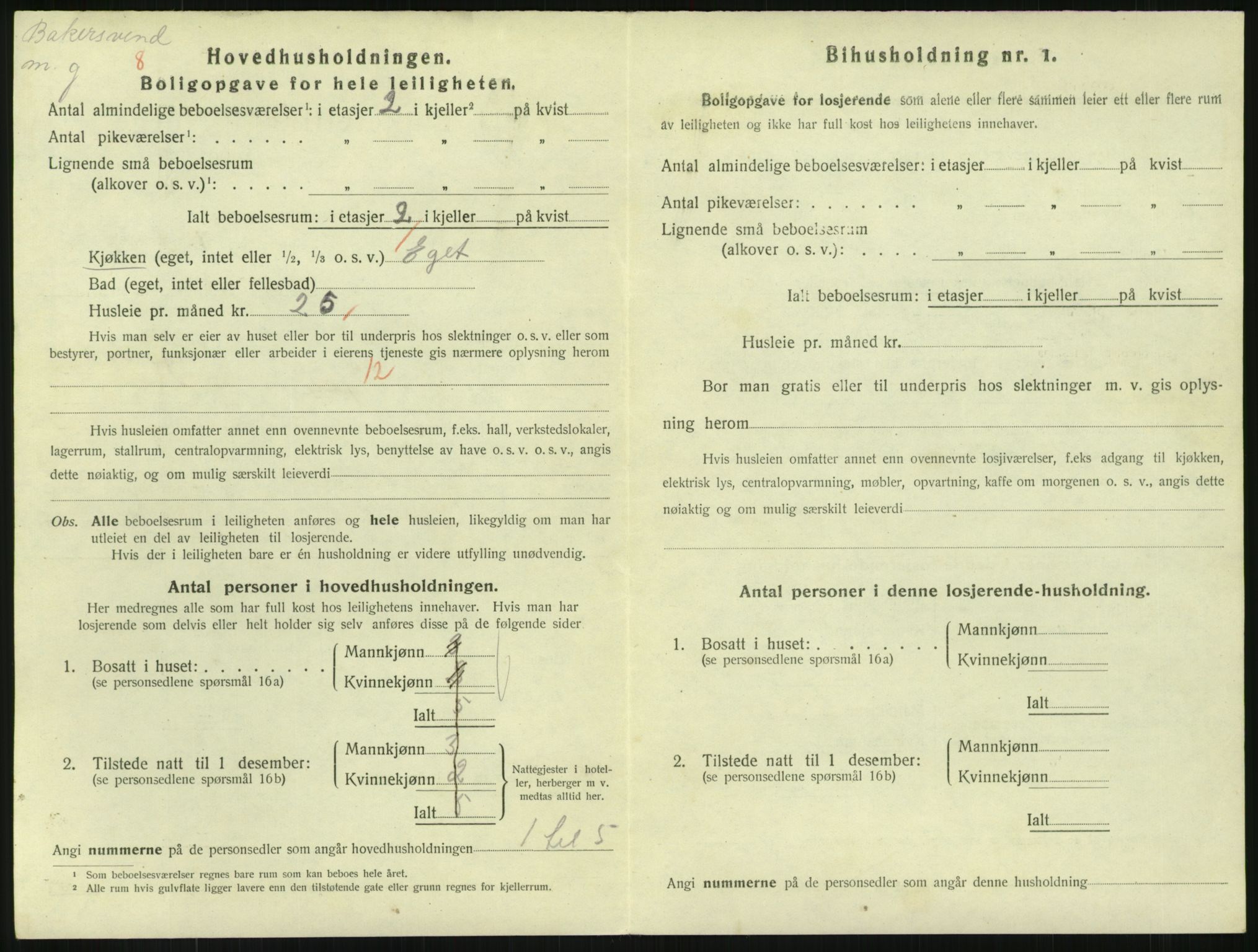 SAKO, 1920 census for Horten, 1920, p. 5290