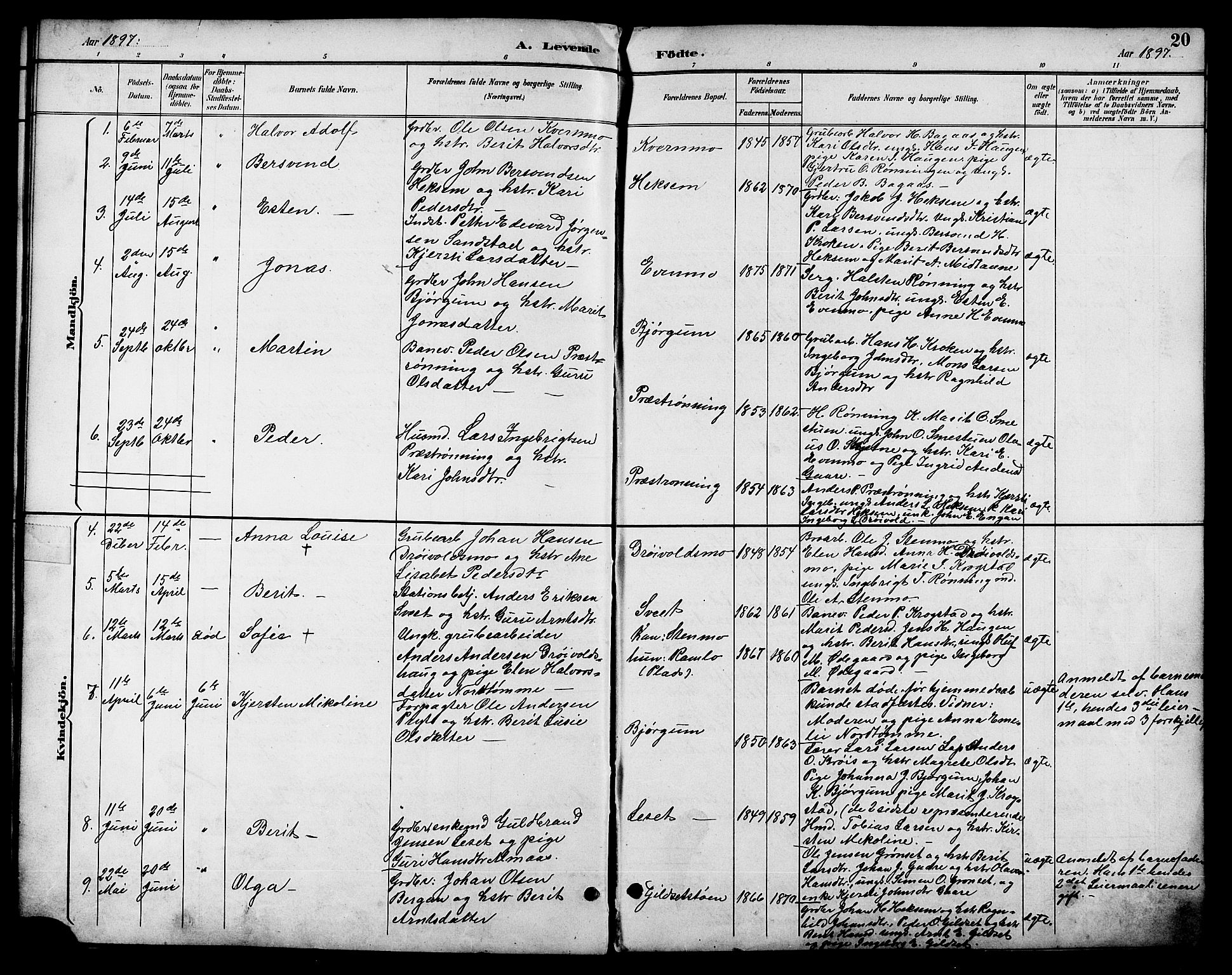 Ministerialprotokoller, klokkerbøker og fødselsregistre - Sør-Trøndelag, SAT/A-1456/685/L0978: Parish register (copy) no. 685C03, 1891-1907, p. 20