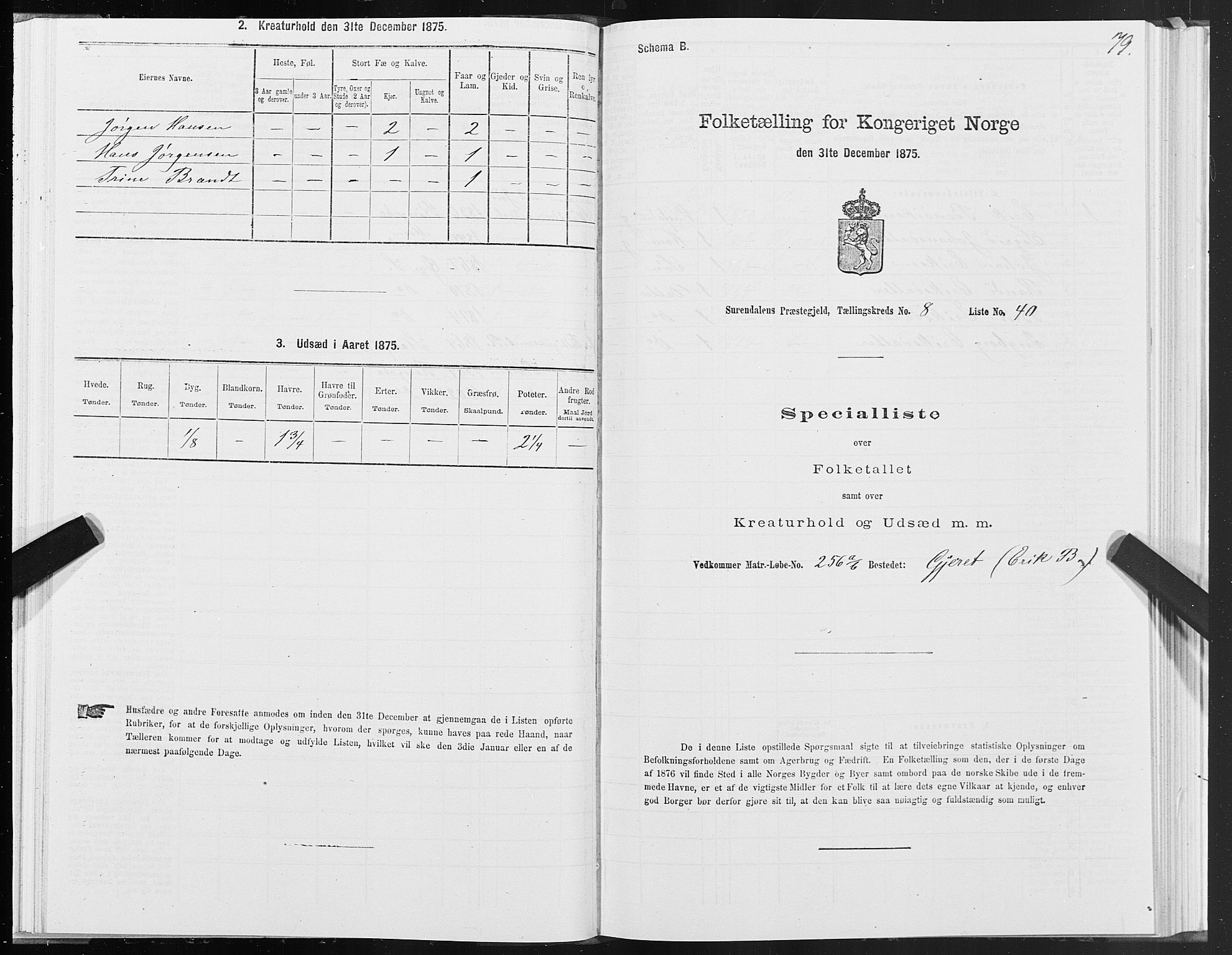 SAT, 1875 census for 1566P Surnadal, 1875, p. 4079