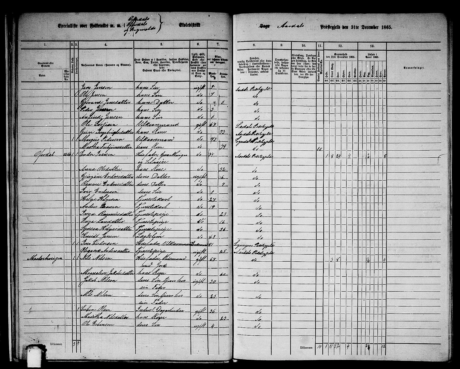 RA, 1865 census for Årdal, 1865, p. 19