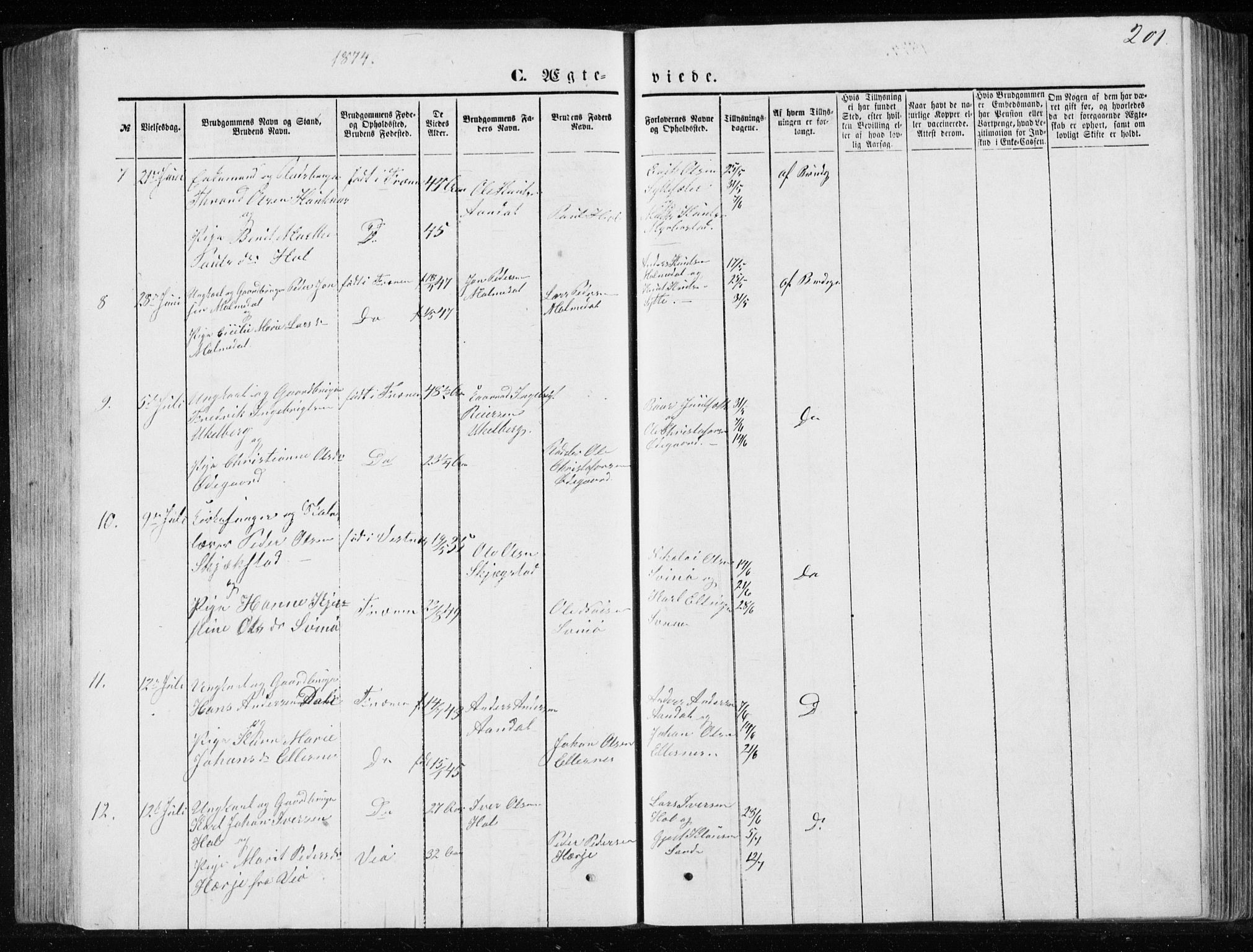 Ministerialprotokoller, klokkerbøker og fødselsregistre - Møre og Romsdal, AV/SAT-A-1454/565/L0754: Parish register (copy) no. 565C03, 1870-1896, p. 201