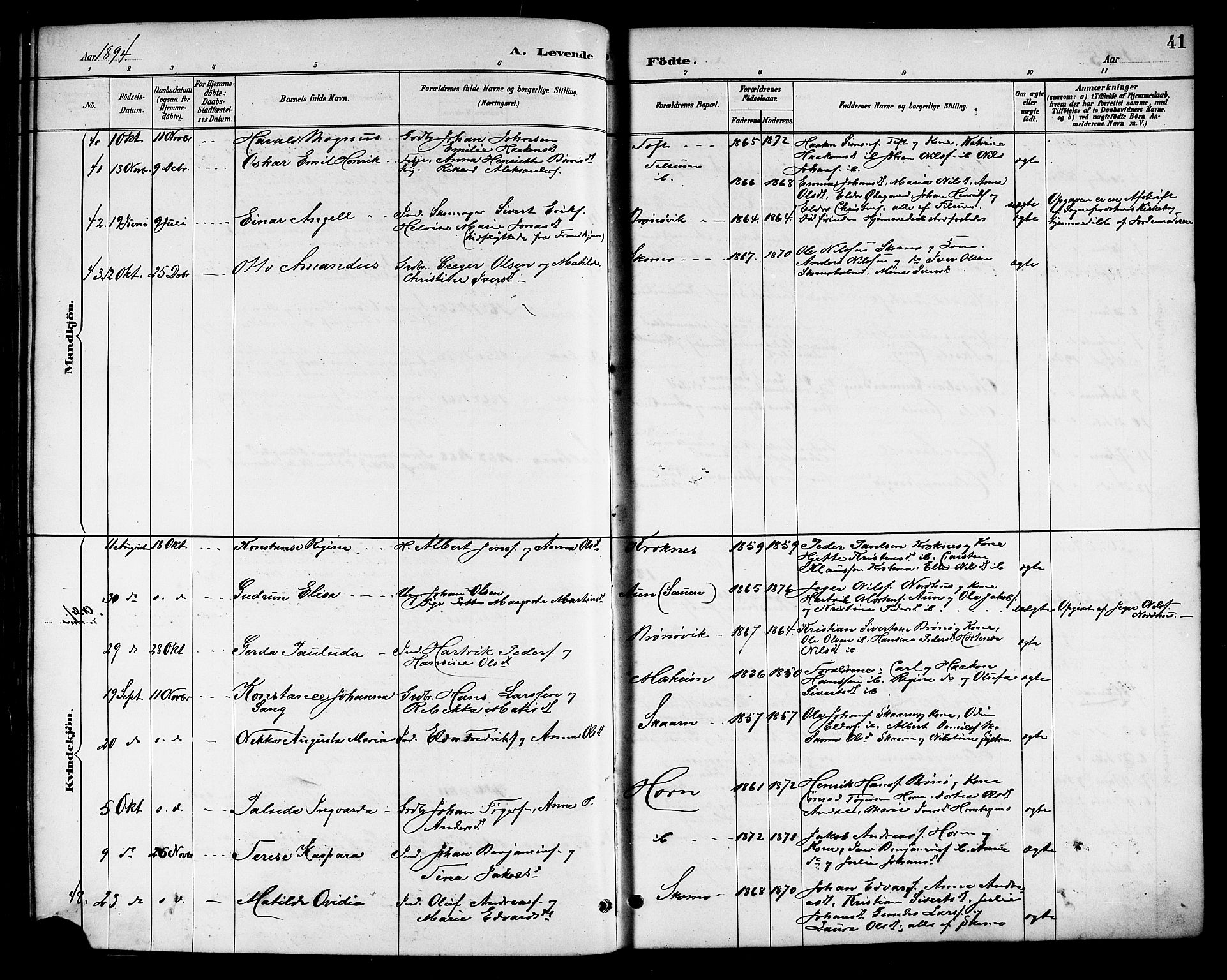 Ministerialprotokoller, klokkerbøker og fødselsregistre - Nordland, AV/SAT-A-1459/813/L0213: Parish register (copy) no. 813C05, 1887-1903, p. 41