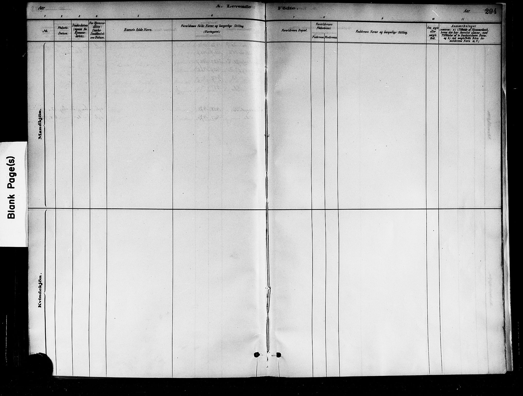 Sagene prestekontor Kirkebøker, SAO/A-10796/F/L0001: Parish register (official) no. 1, 1880-1893, p. 294