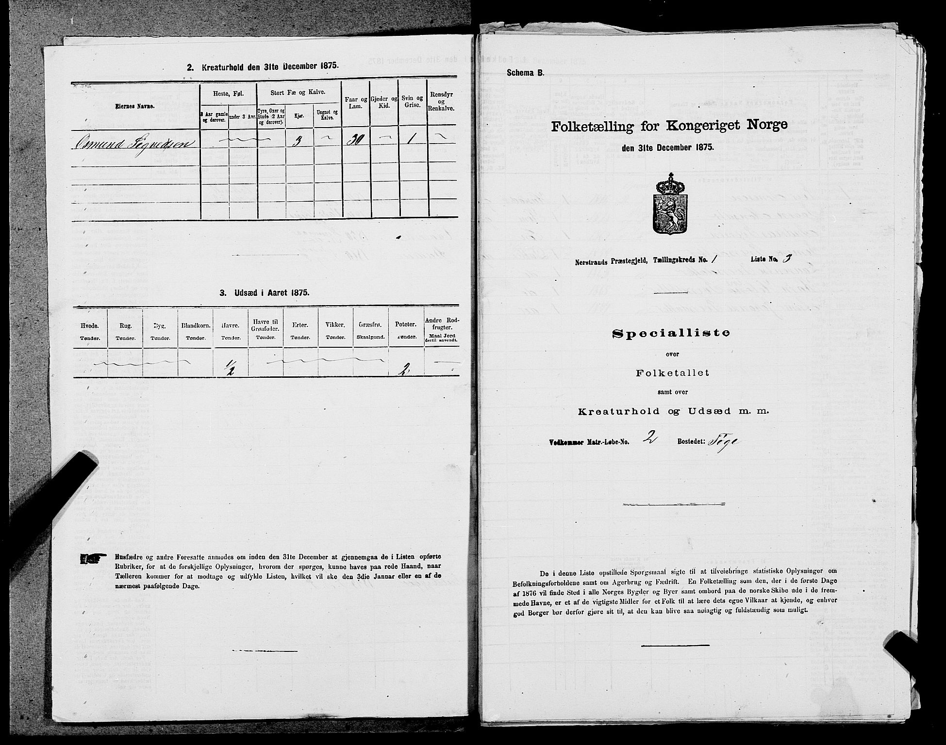 SAST, 1875 census for 1139P Nedstrand, 1875, p. 50