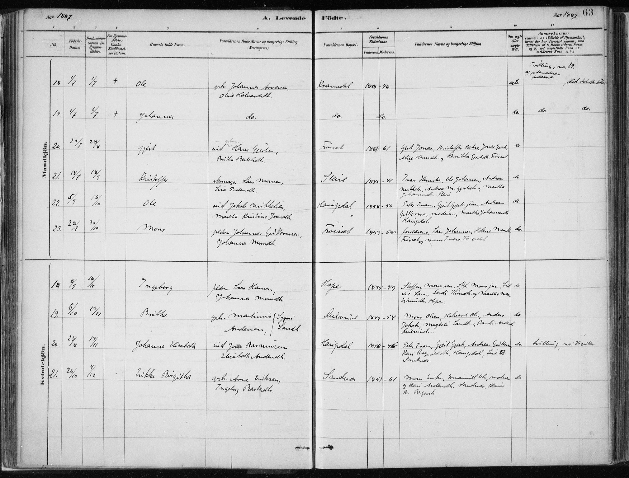 Masfjorden Sokneprestembete, AV/SAB-A-77001: Parish register (official) no. B  1, 1876-1899, p. 63