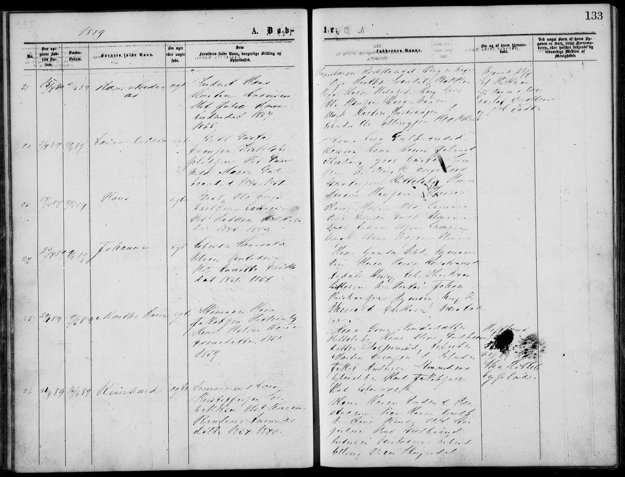 Norderhov kirkebøker, AV/SAKO-A-237/G/Gb/L0001: Parish register (copy) no. II 1, 1876-1899, p. 133