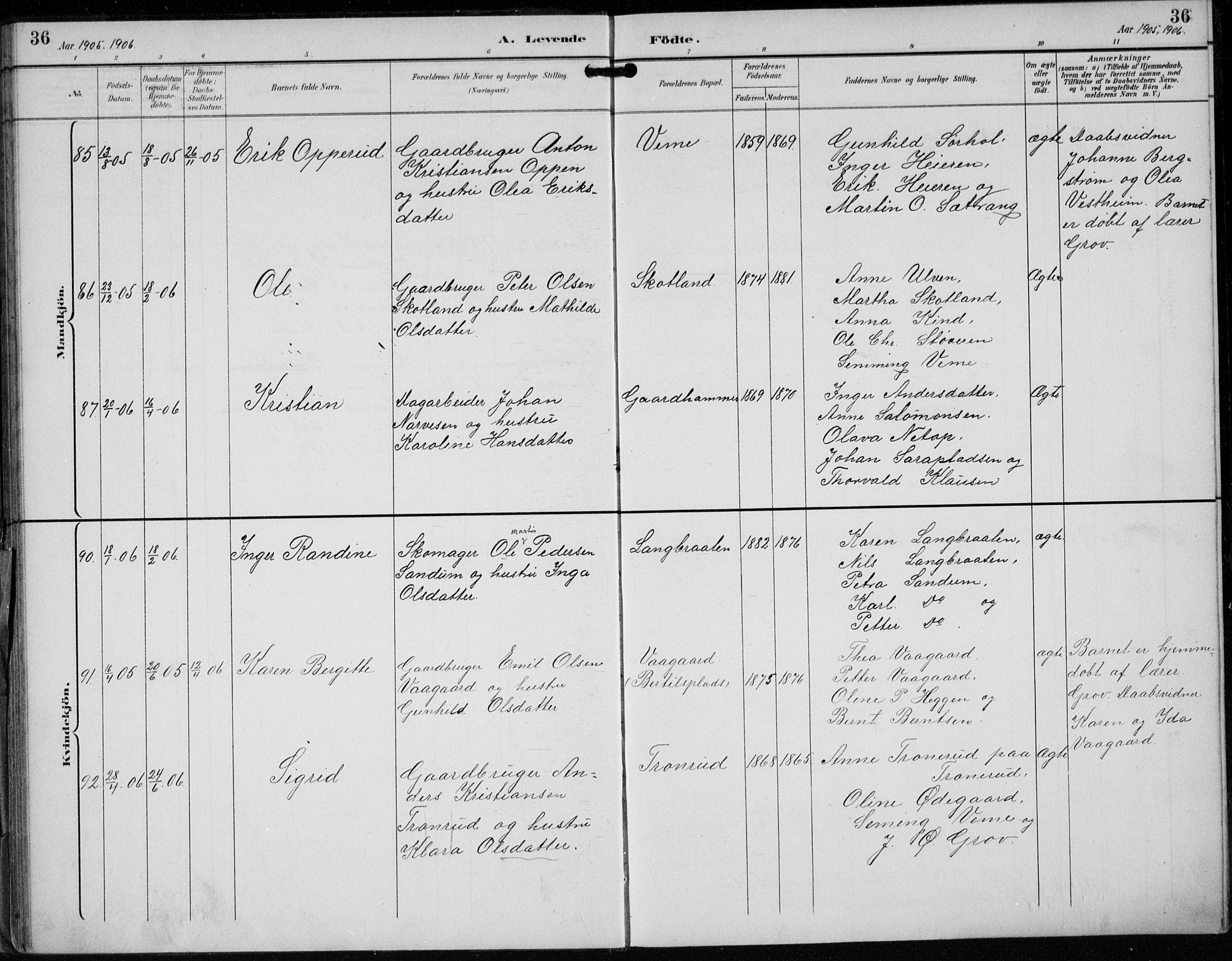 Lunder kirkebøker, AV/SAKO-A-629/F/Fb/L0001: Parish register (official) no. II 1, 1893-1916, p. 36