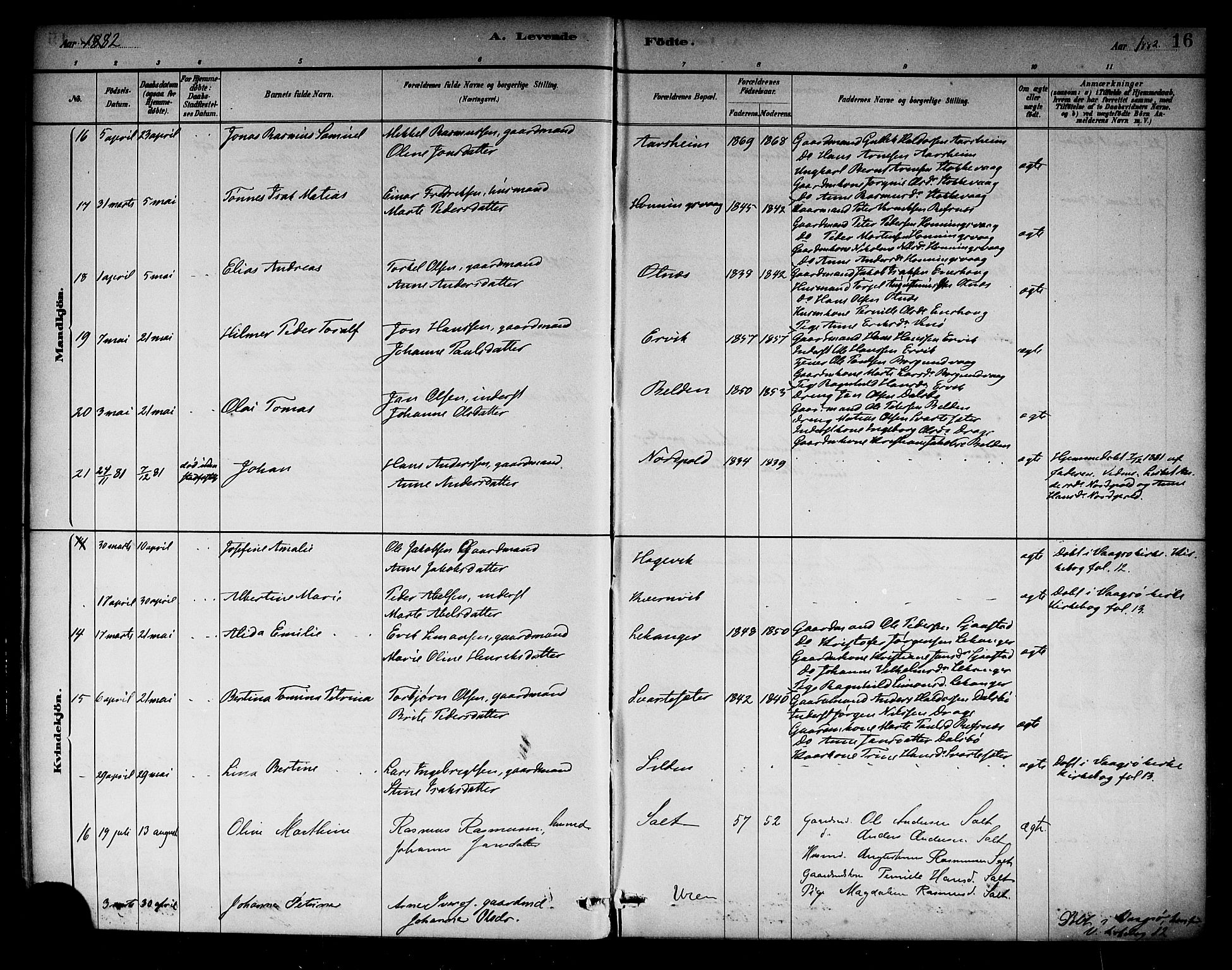 Selje sokneprestembete, AV/SAB-A-99938/H/Ha/Haa/Haab: Parish register (official) no. B 1, 1881-1890, p. 16