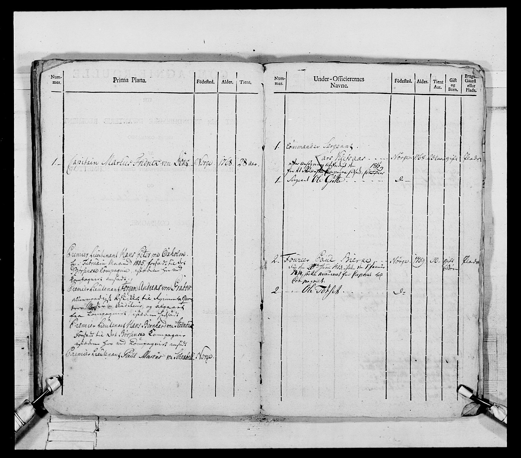 Generalitets- og kommissariatskollegiet, Det kongelige norske kommissariatskollegium, AV/RA-EA-5420/E/Eh/L0083a: 2. Trondheimske nasjonale infanteriregiment, 1810, p. 202