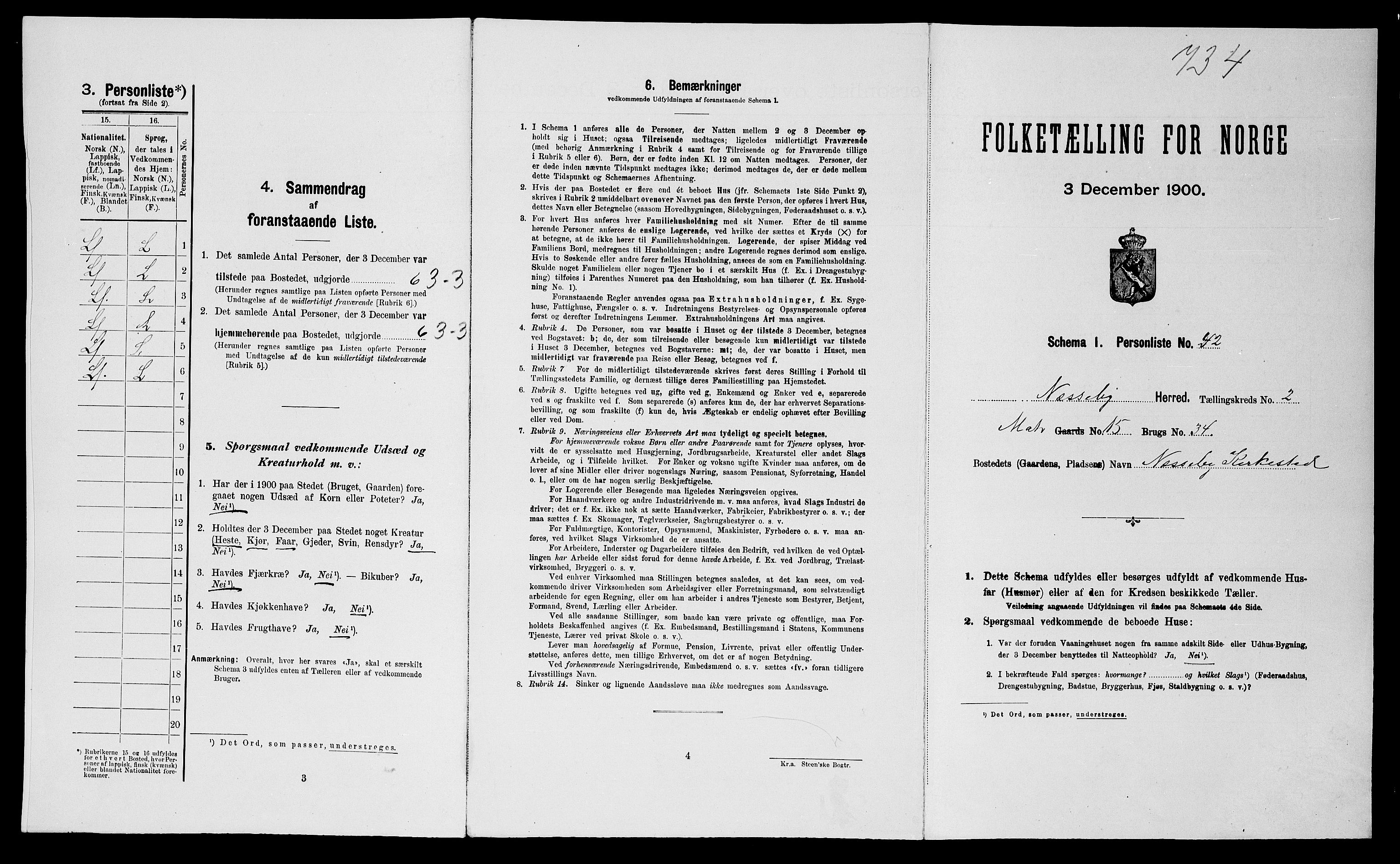 SATØ, 1900 census for Nesseby, 1900, p. 196