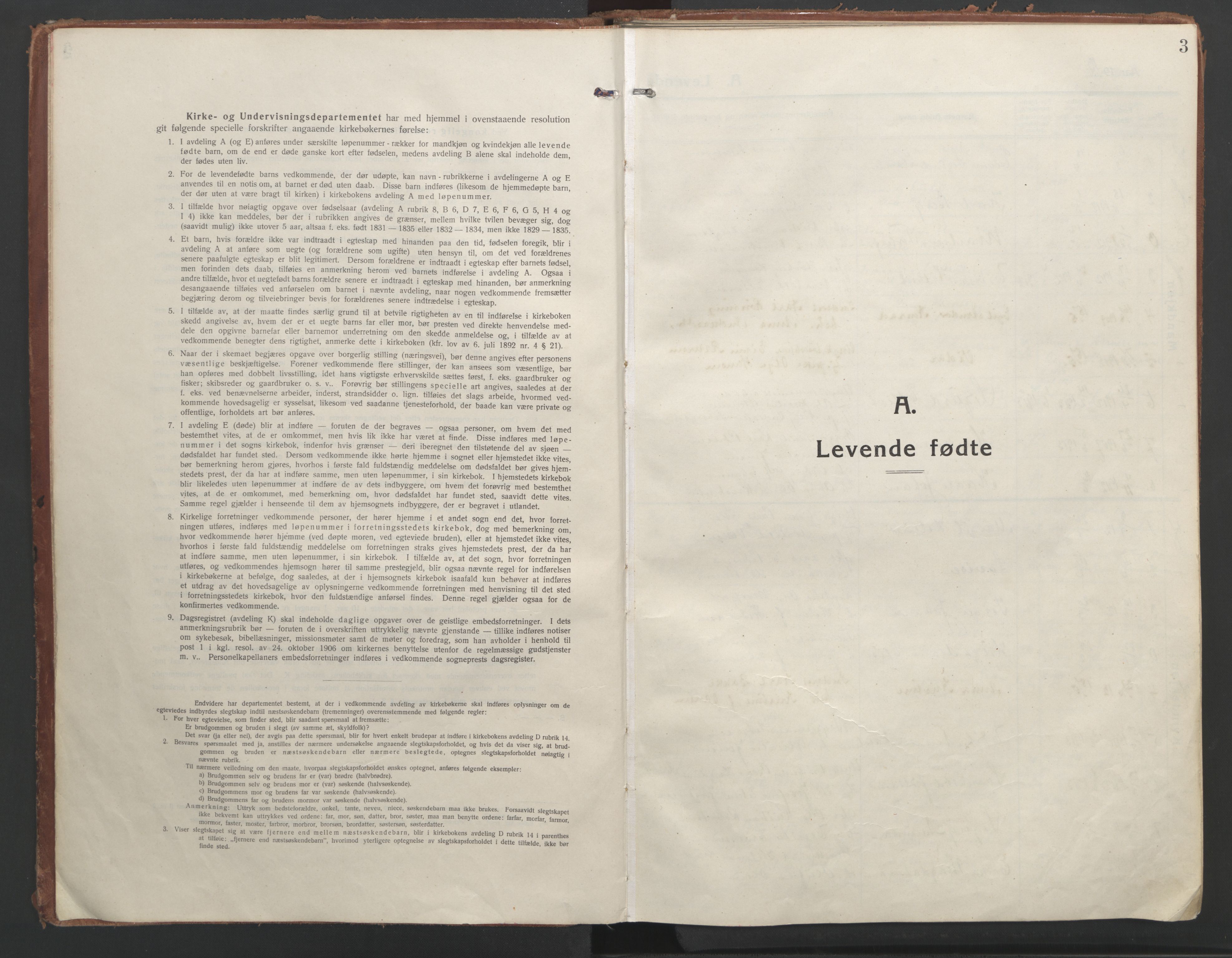 Ministerialprotokoller, klokkerbøker og fødselsregistre - Nordland, AV/SAT-A-1459/888/L1250: Parish register (official) no. 888A16, 1913-1925, p. 3