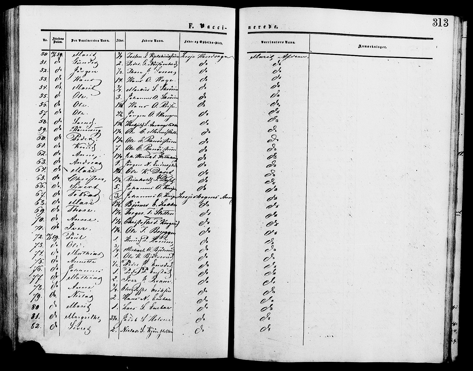 Lesja prestekontor, AV/SAH-PREST-068/H/Ha/Haa/L0009: Parish register (official) no. 9, 1854-1889, p. 313