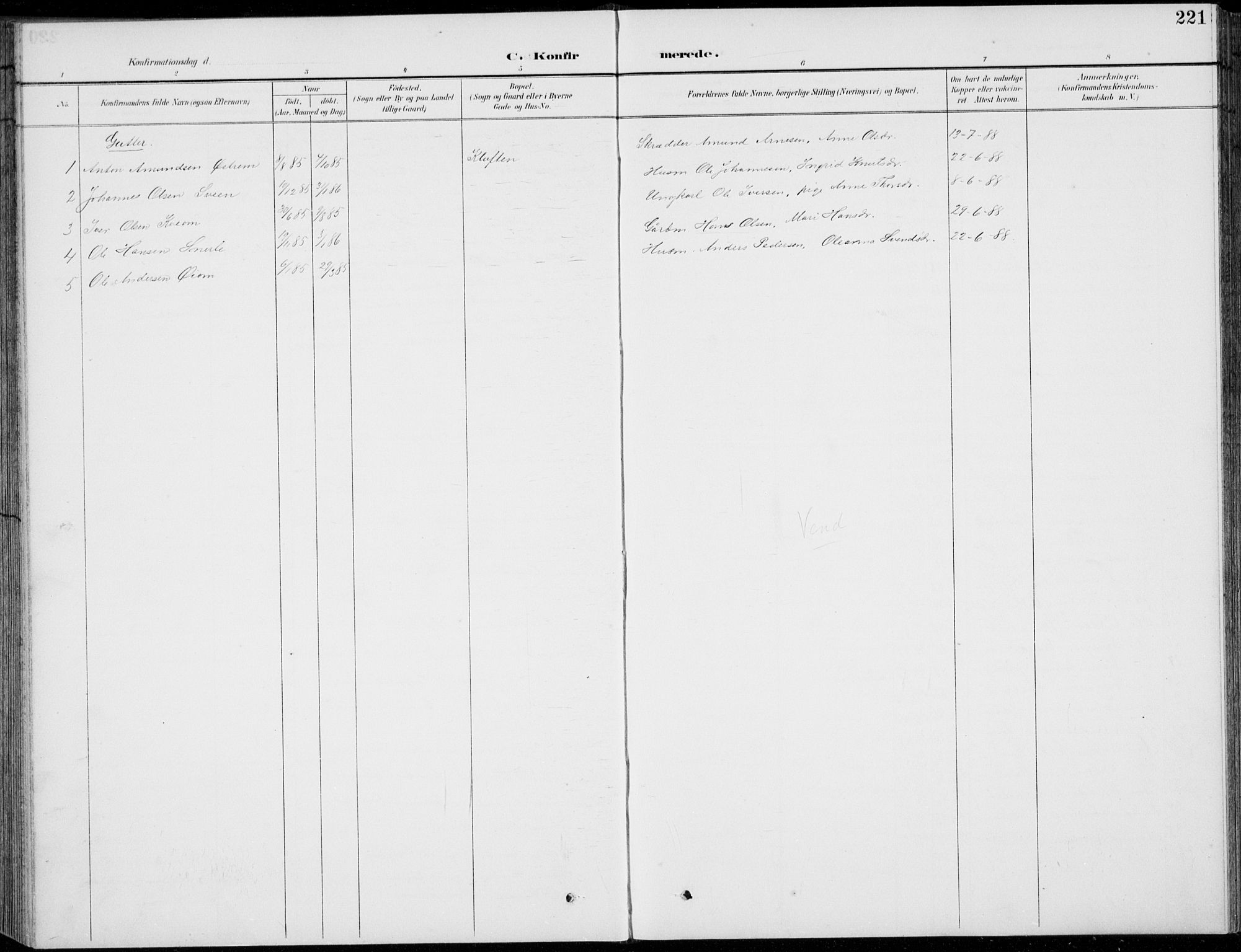 Vågå prestekontor, SAH/PREST-076/H/Ha/Hab/L0002: Parish register (copy) no. 2, 1894-1939, p. 221