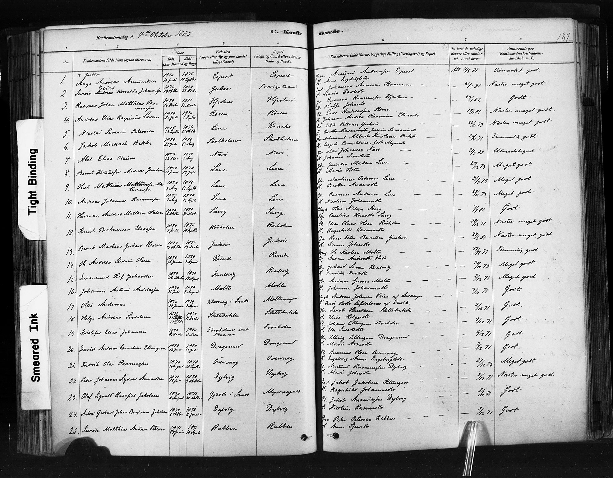 Ministerialprotokoller, klokkerbøker og fødselsregistre - Møre og Romsdal, SAT/A-1454/507/L0073: Parish register (official) no. 507A08, 1878-1904, p. 187