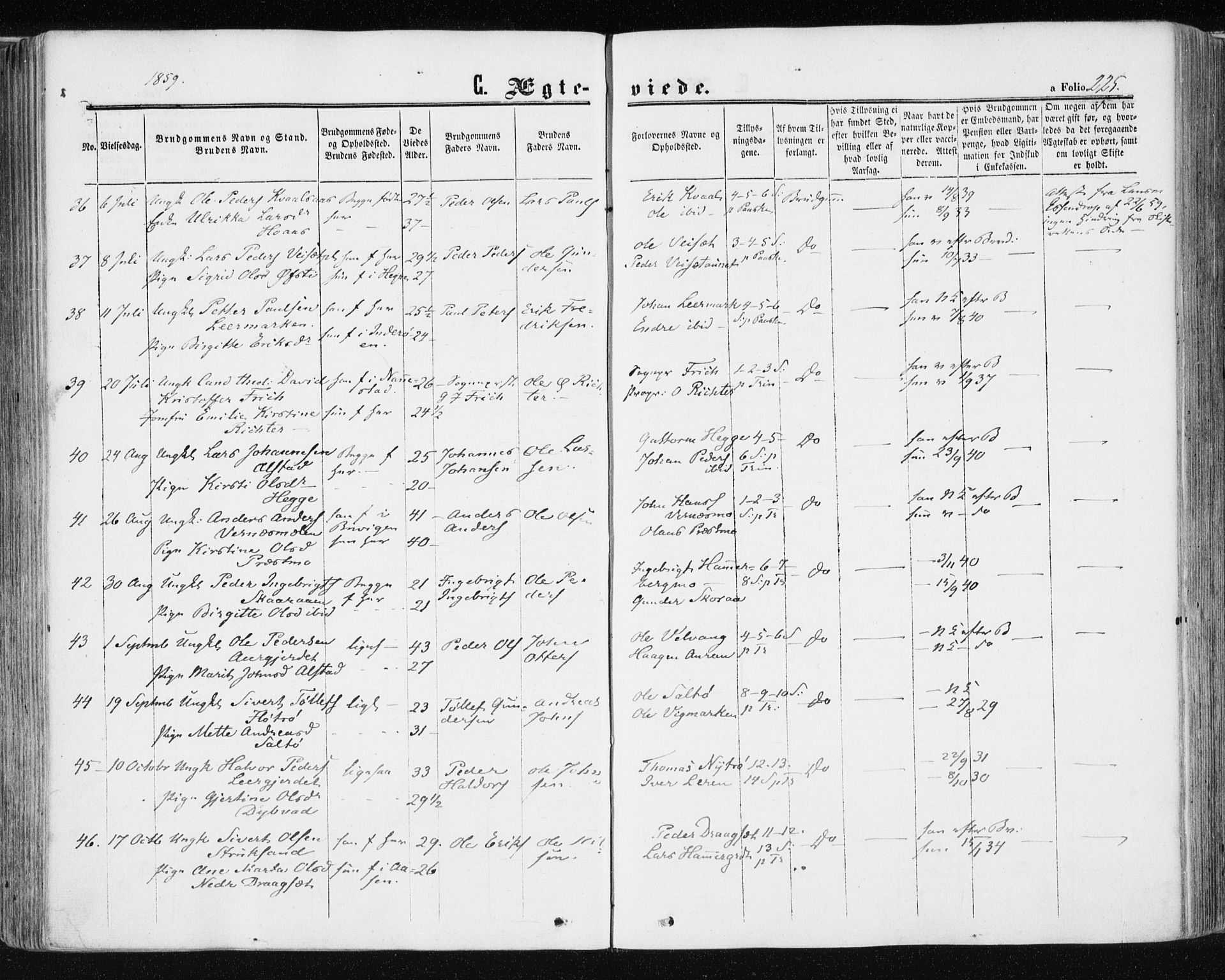 Ministerialprotokoller, klokkerbøker og fødselsregistre - Nord-Trøndelag, AV/SAT-A-1458/709/L0075: Parish register (official) no. 709A15, 1859-1870, p. 225