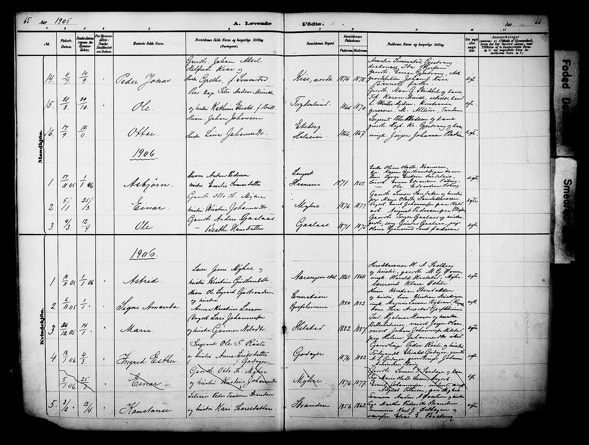 Nes prestekontor, Hedmark, AV/SAH-PREST-020/L/La/L0006: Parish register (copy) no. 6, 1890-1932, p. 65-66