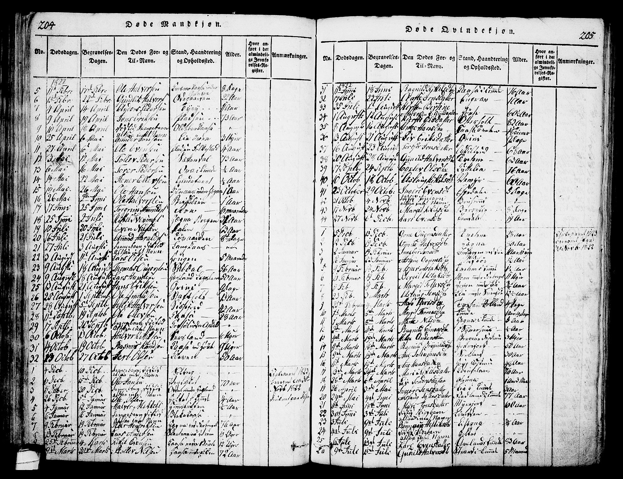 Bø kirkebøker, SAKO/A-257/G/Ga/L0001: Parish register (copy) no. 1, 1815-1831, p. 204-205