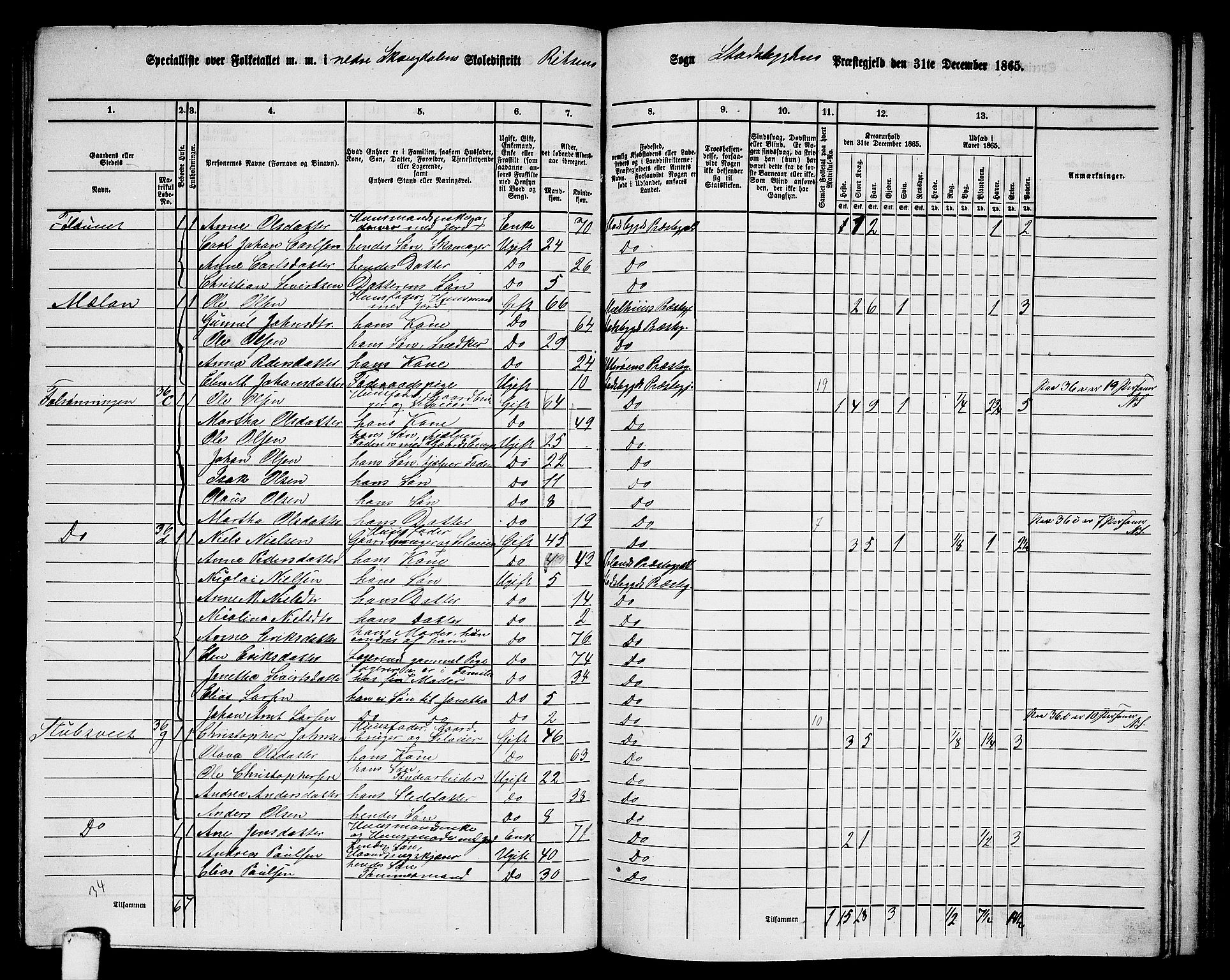 RA, 1865 census for Stadsbygd, 1865, p. 138