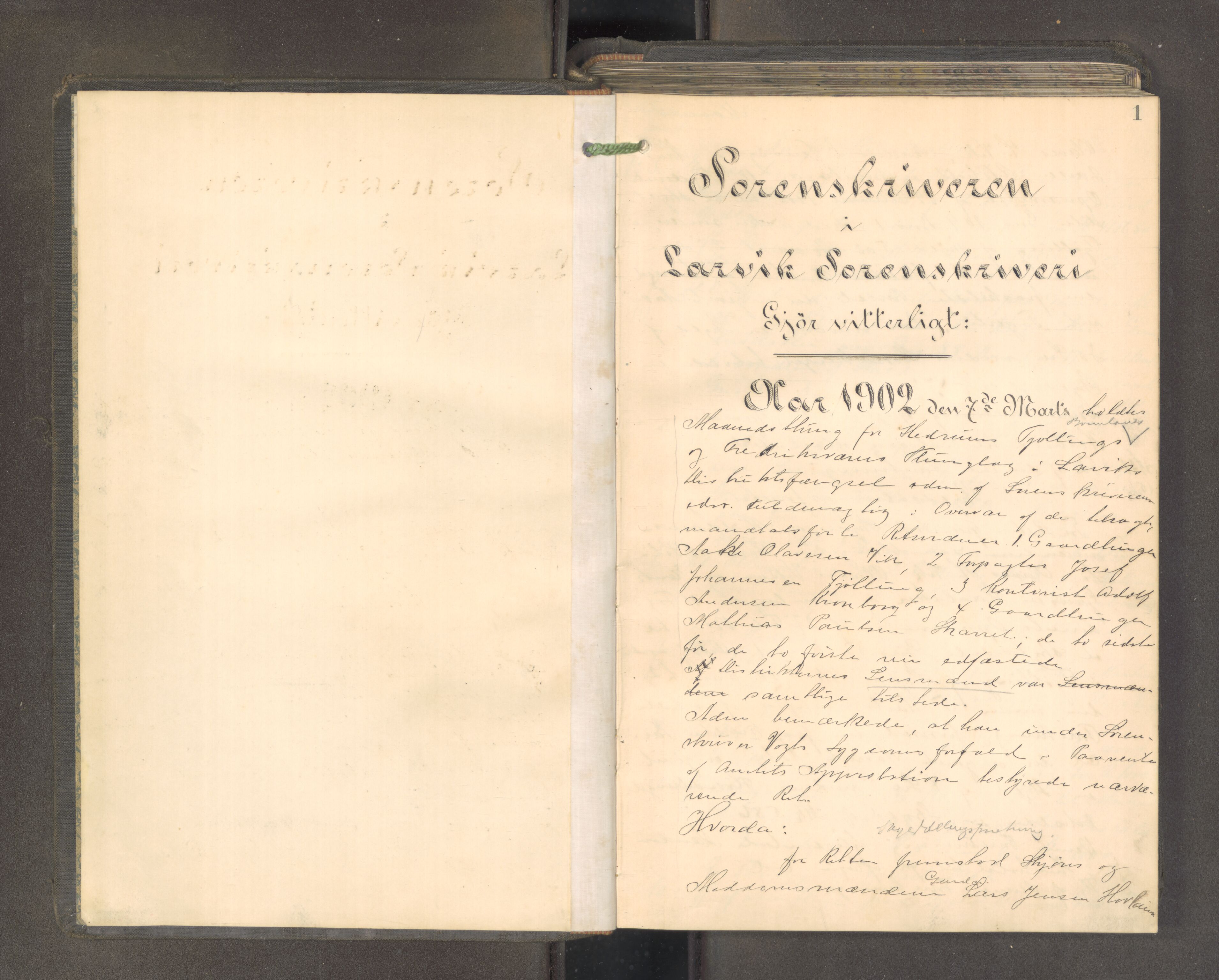 Larvik sorenskriveri, AV/SAKO-A-83/F/Fa/L0056: Tingbok, 1902-1904, p. 1a