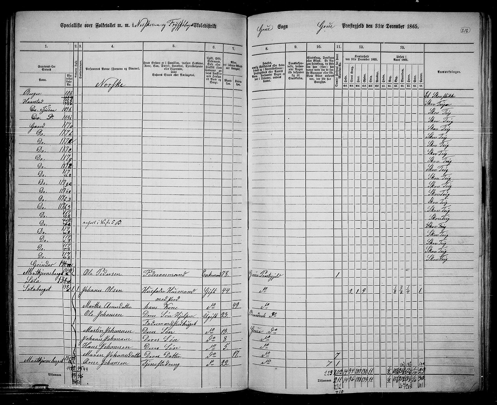 RA, 1865 census for Grue, 1865, p. 189