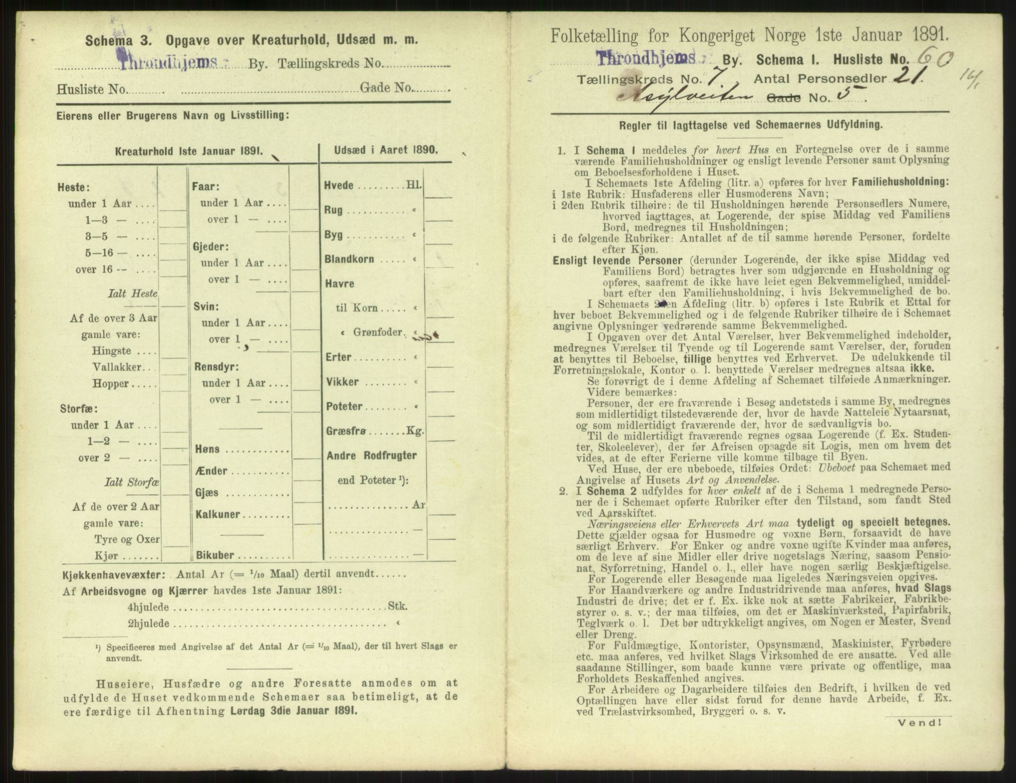 RA, 1891 census for 1601 Trondheim, 1891, p. 858