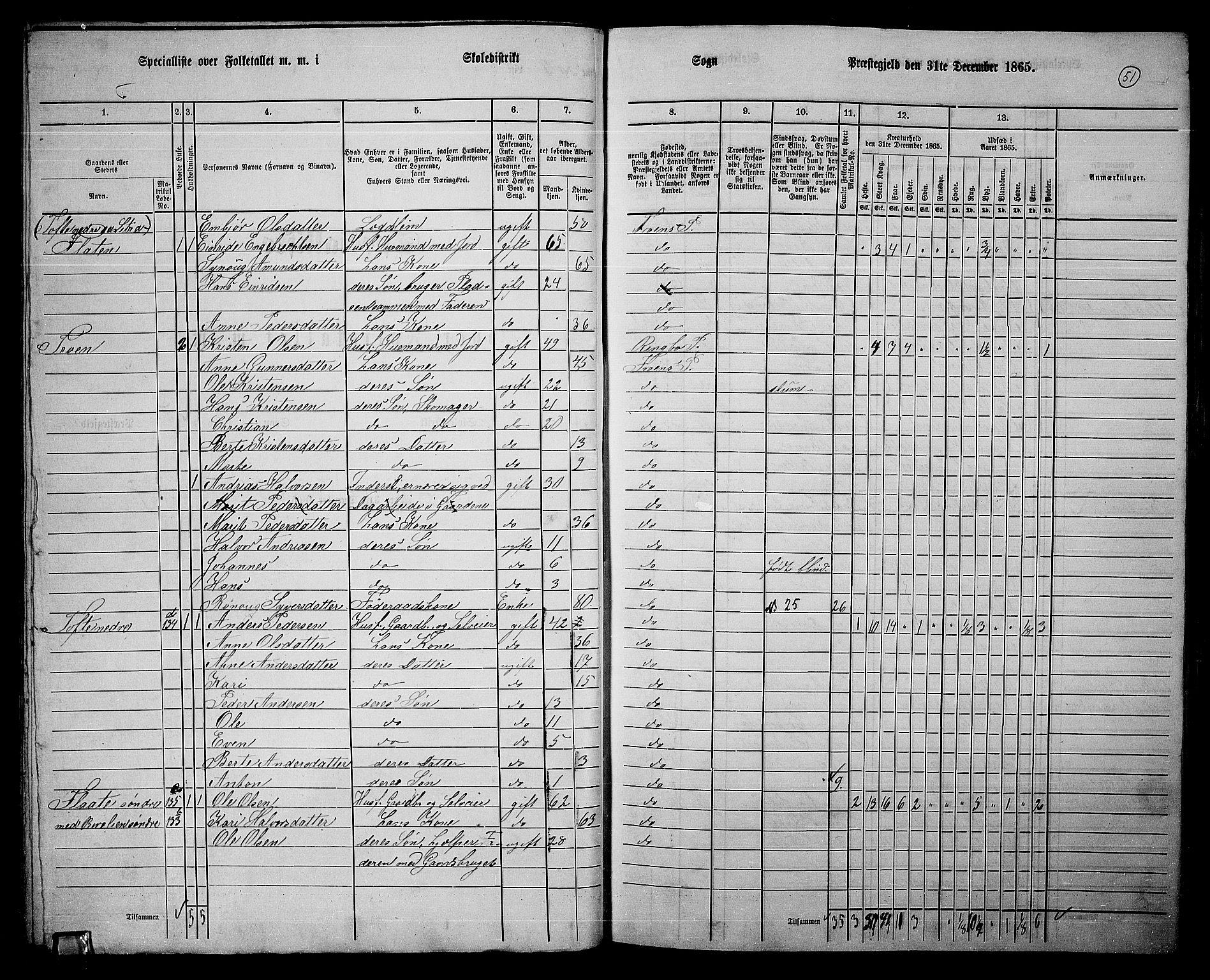 RA, 1865 census for Sør-Fron, 1865, p. 46