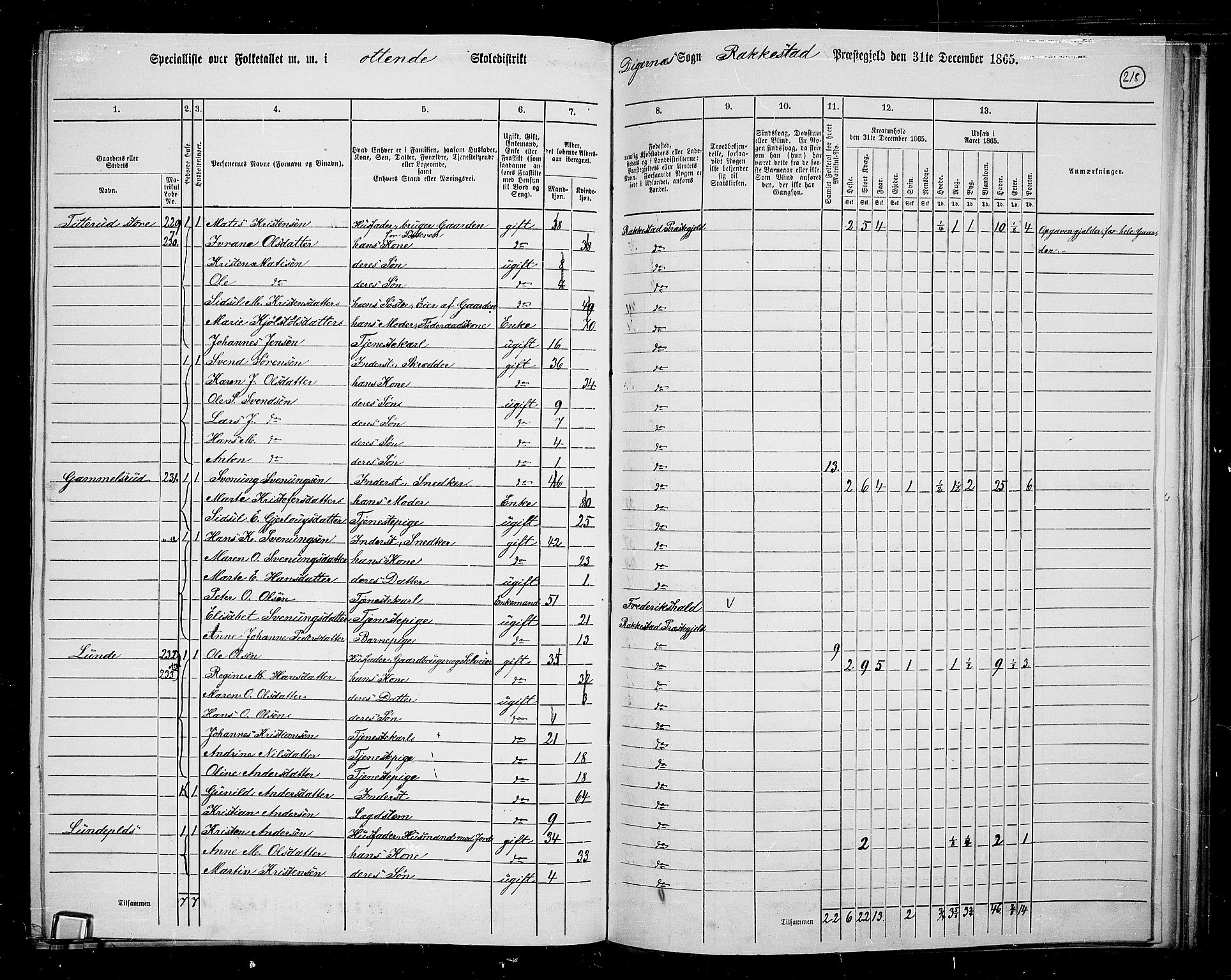 RA, 1865 census for Rakkestad, 1865, p. 209