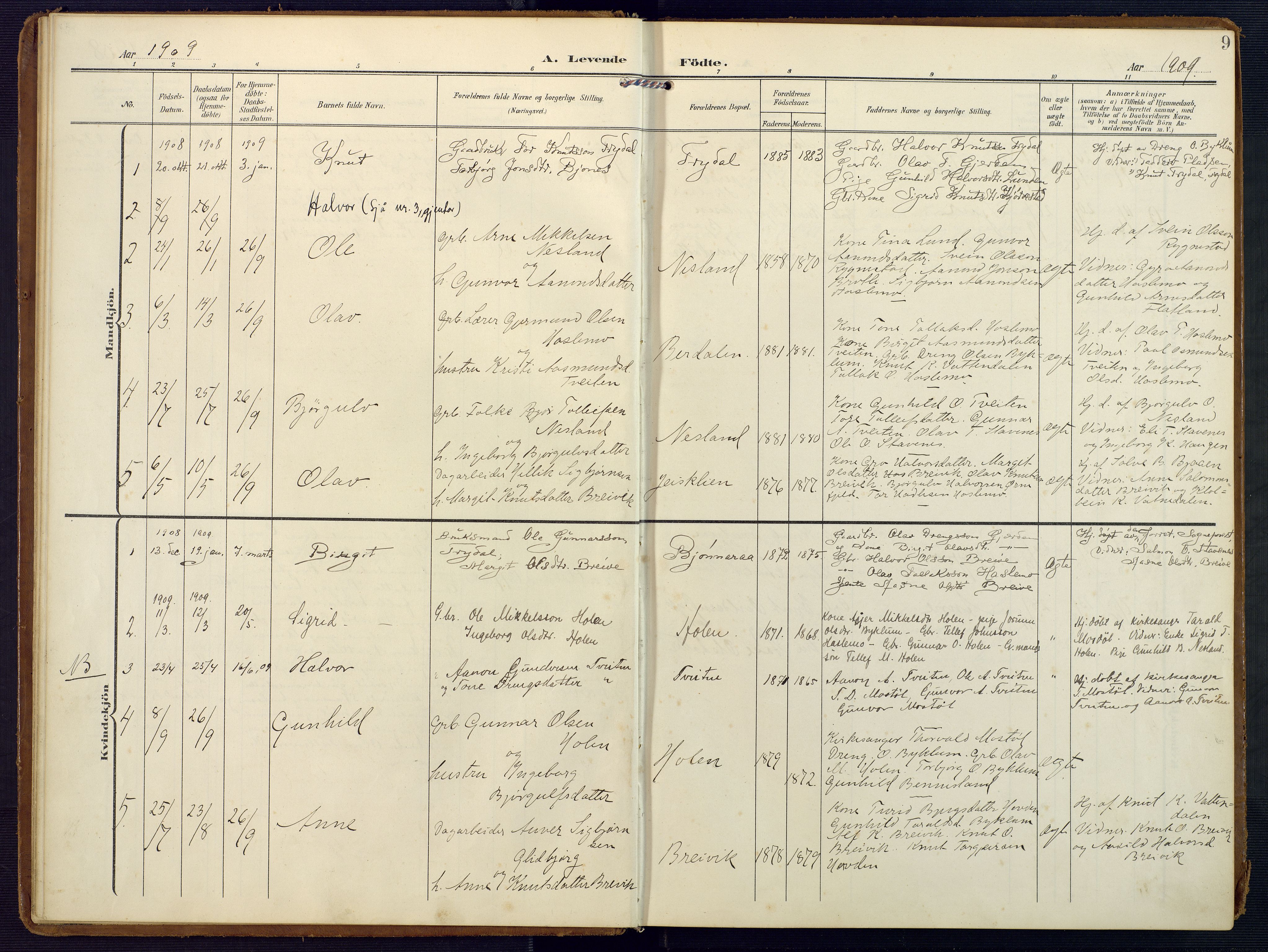Valle sokneprestkontor, SAK/1111-0044/F/Fa/Faa/L0002: Parish register (official) no. A 2, 1907-1919, p. 9