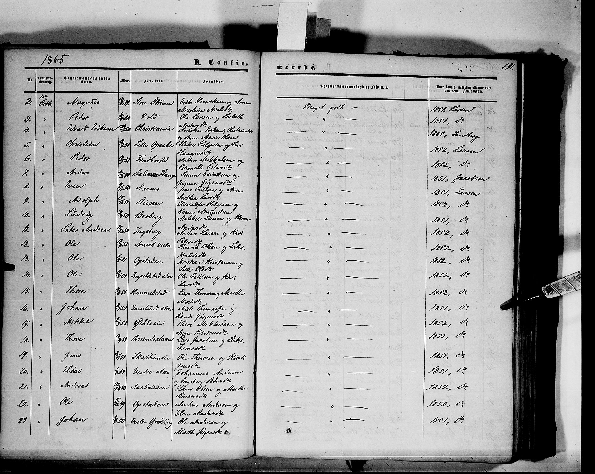 Vang prestekontor, Hedmark, SAH/PREST-008/H/Ha/Haa/L0012: Parish register (official) no. 12, 1855-1870, p. 191