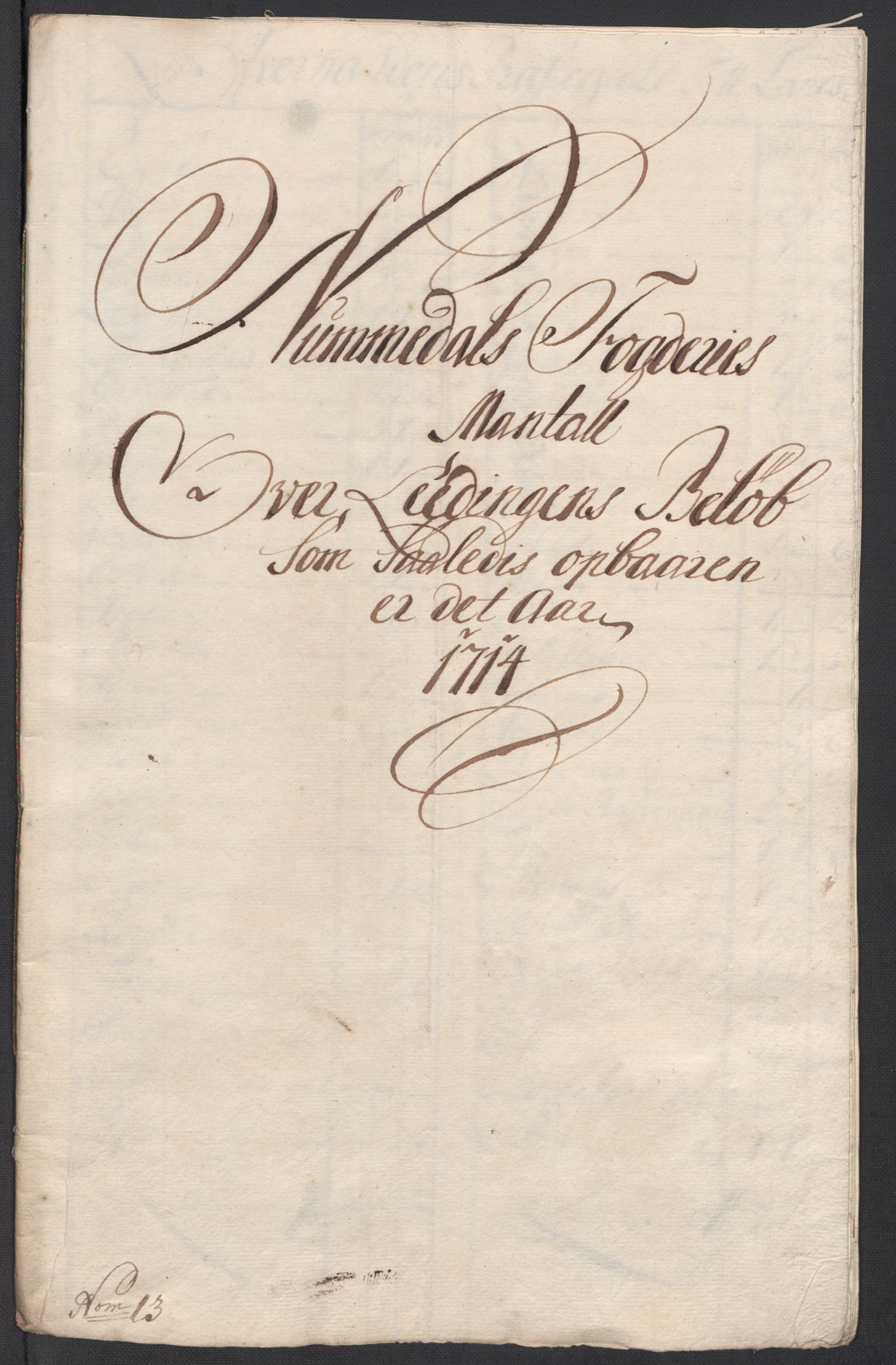 Rentekammeret inntil 1814, Reviderte regnskaper, Fogderegnskap, AV/RA-EA-4092/R64/L4435: Fogderegnskap Namdal, 1714, p. 144