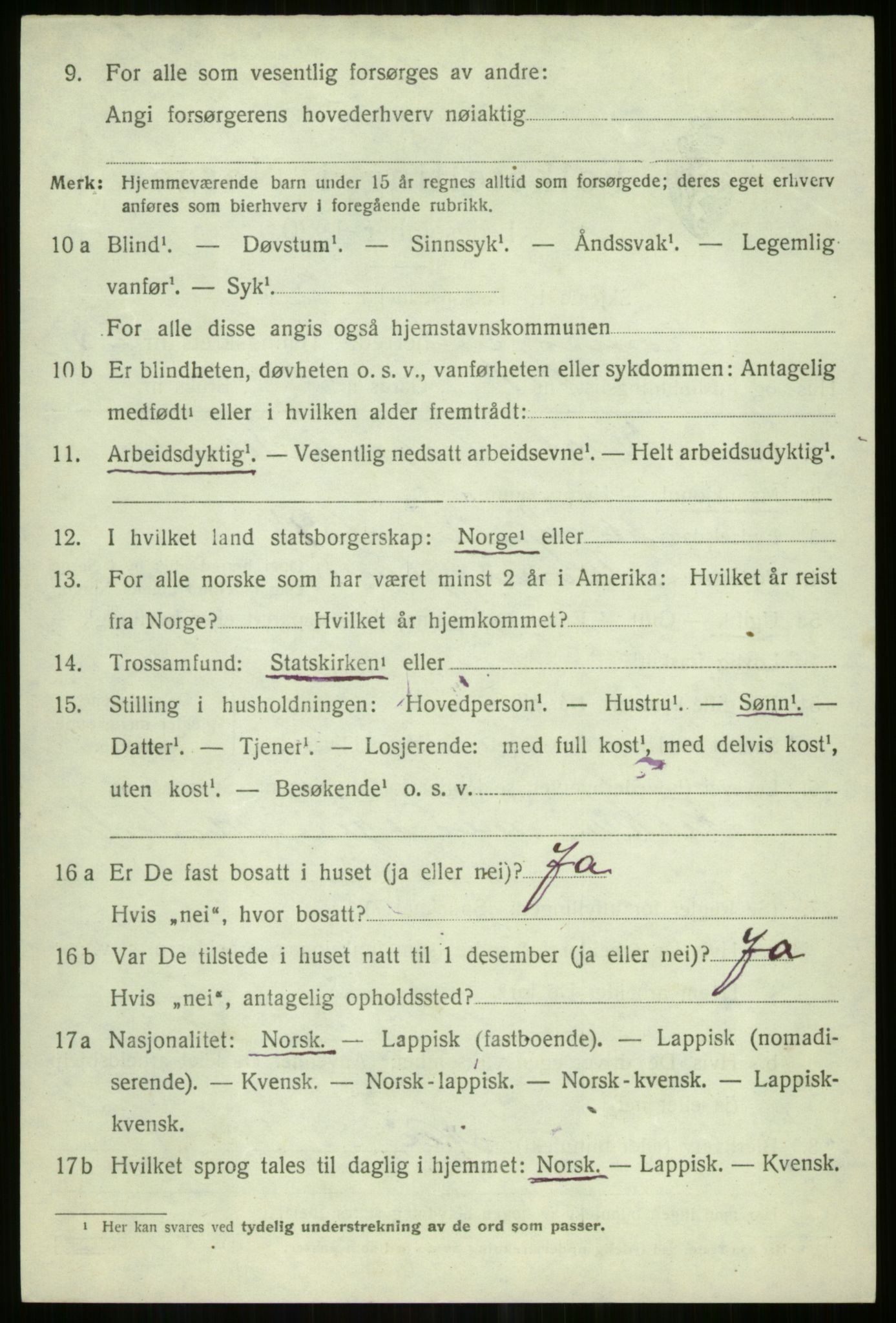 SATØ, 1920 census for Tromsøysund, 1920, p. 11917