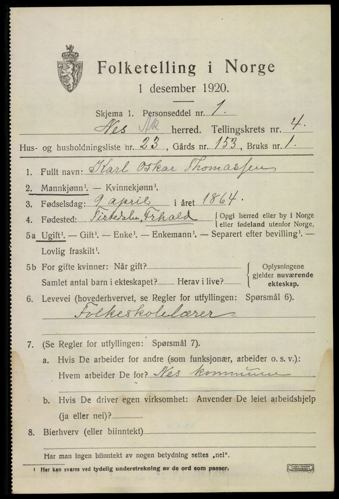 SAO, 1920 census for Nes, 1920, p. 6456