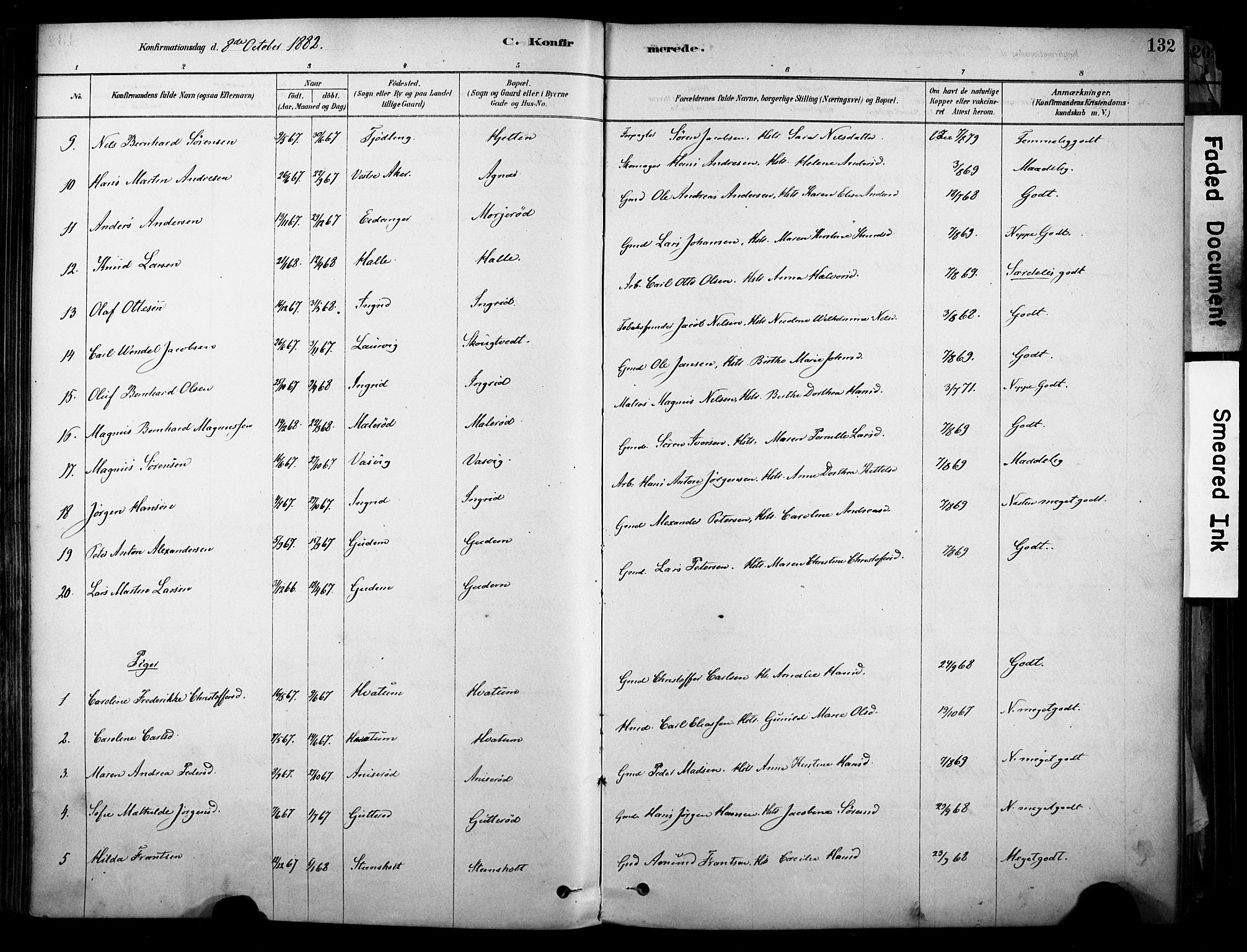 Brunlanes kirkebøker, AV/SAKO-A-342/F/Fc/L0001: Parish register (official) no. III 1, 1878-1899, p. 132