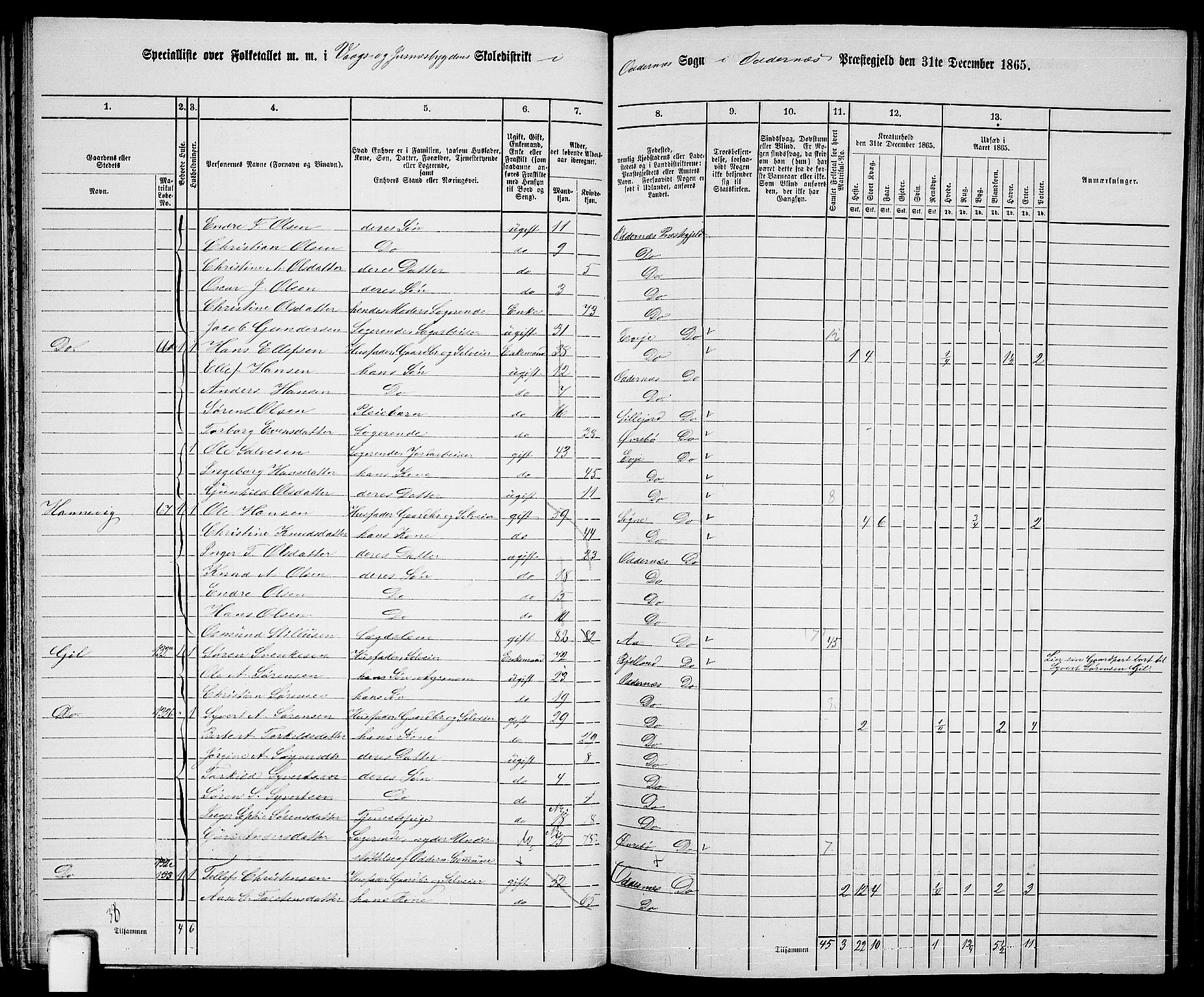 RA, 1865 census for Oddernes, 1865, p. 46