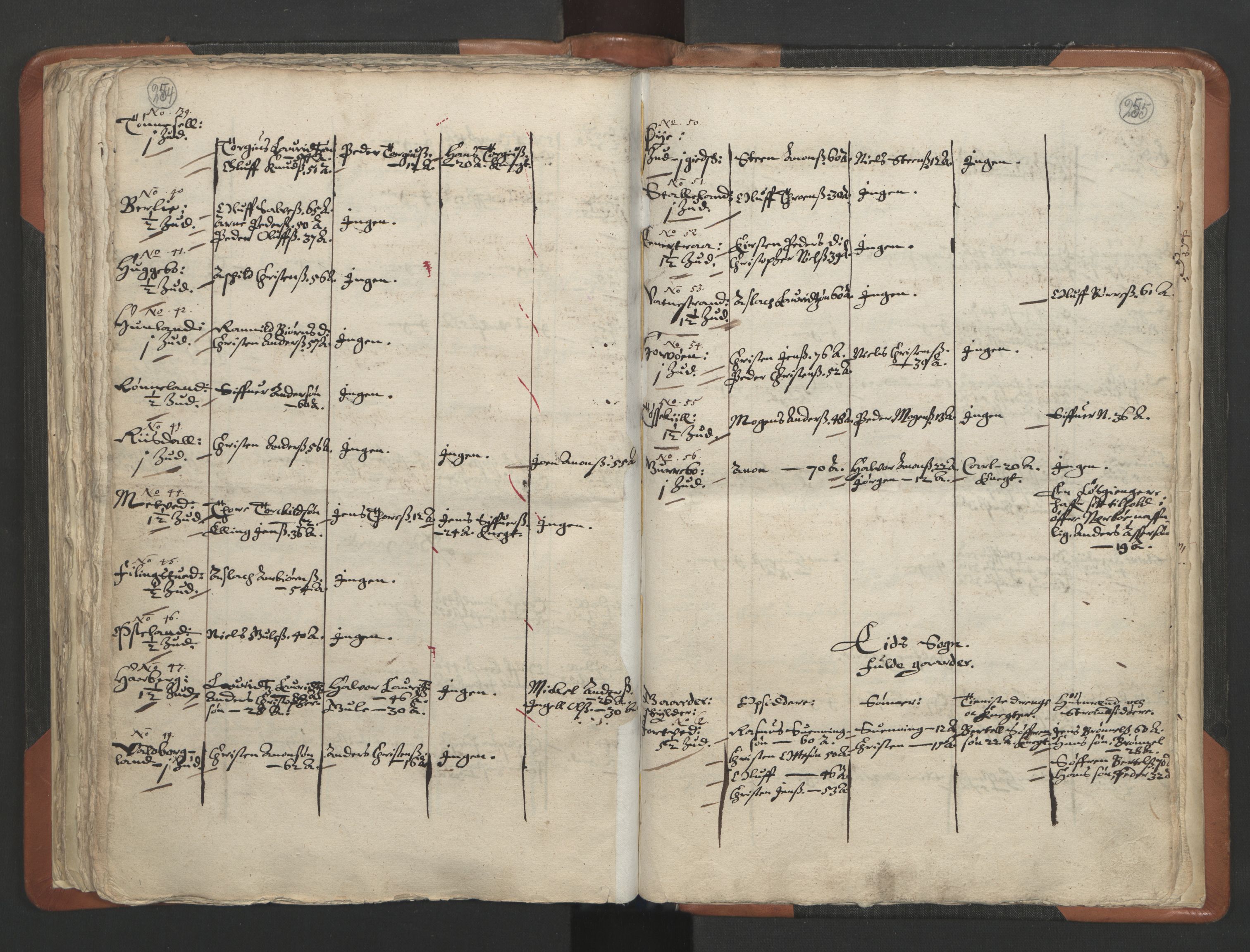 RA, Vicar's Census 1664-1666, no. 13: Nedenes deanery, 1664-1666, p. 254-255