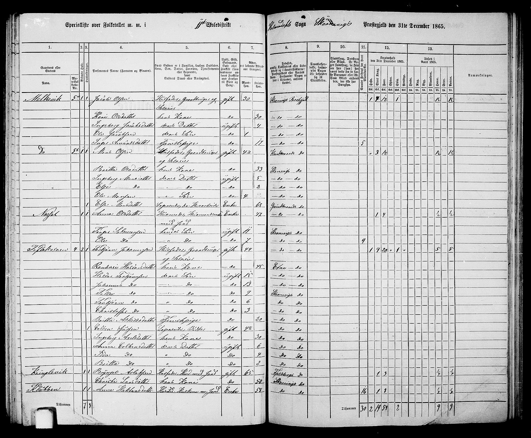 RA, 1865 census for Skånevik, 1865, p. 155