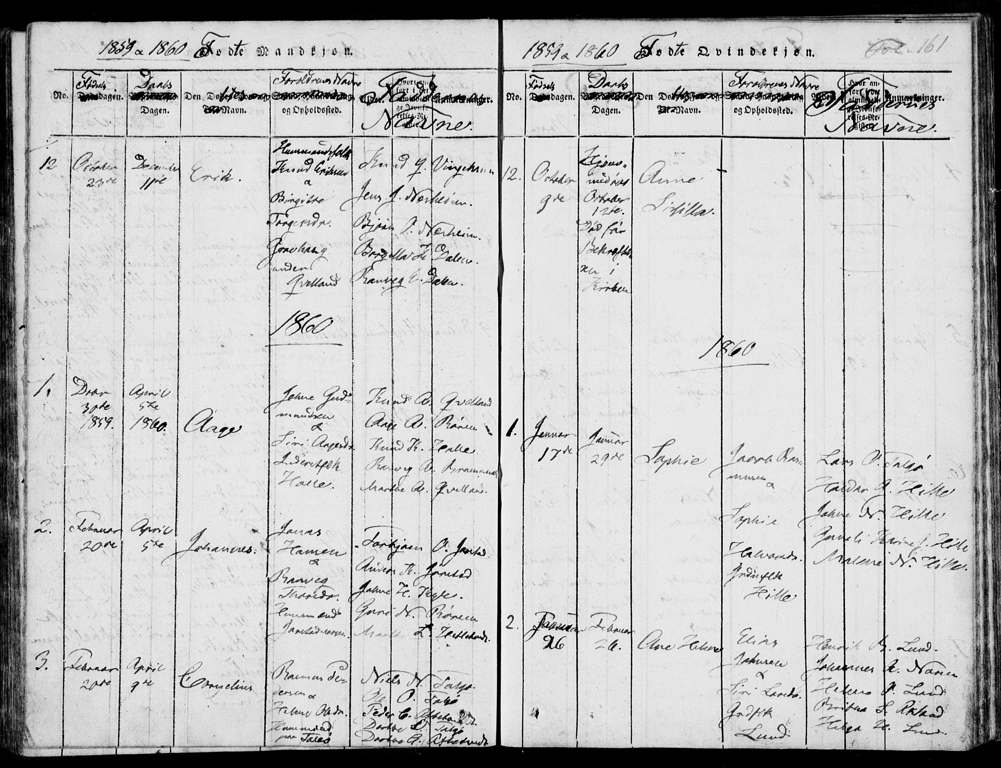 Nedstrand sokneprestkontor, AV/SAST-A-101841/01/IV: Parish register (official) no. A 7, 1816-1870, p. 161