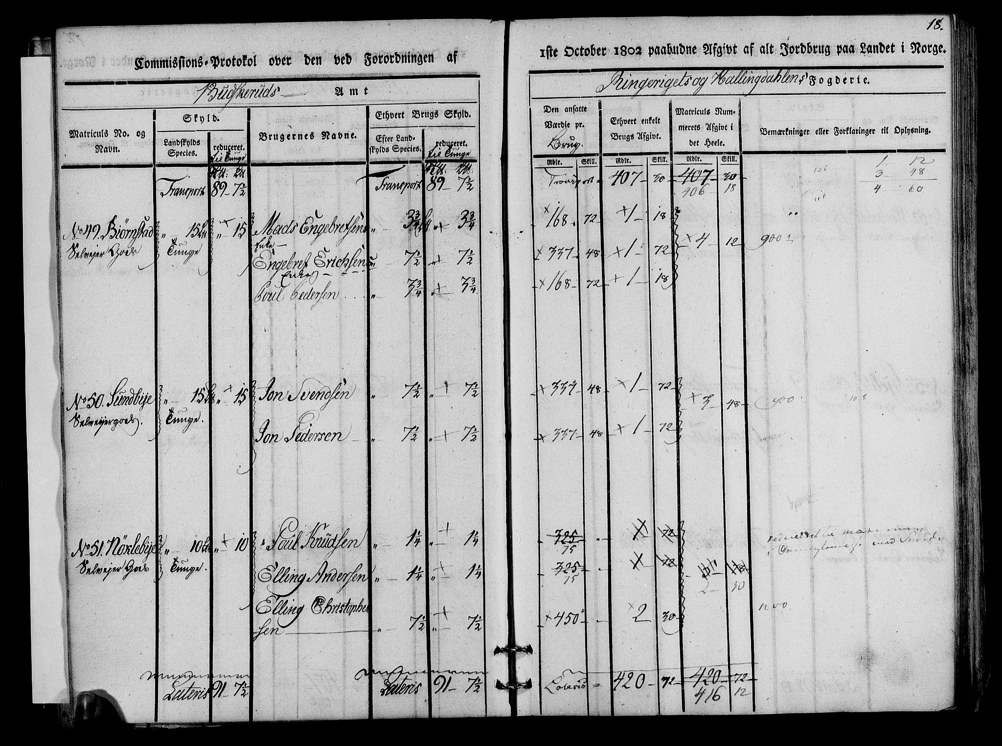 Rentekammeret inntil 1814, Realistisk ordnet avdeling, AV/RA-EA-4070/N/Ne/Nea/L0045: Ringerike og Hallingdal fogderi. Kommisjonsprotokoll for Norderhov prestegjeld, 1803, p. 20