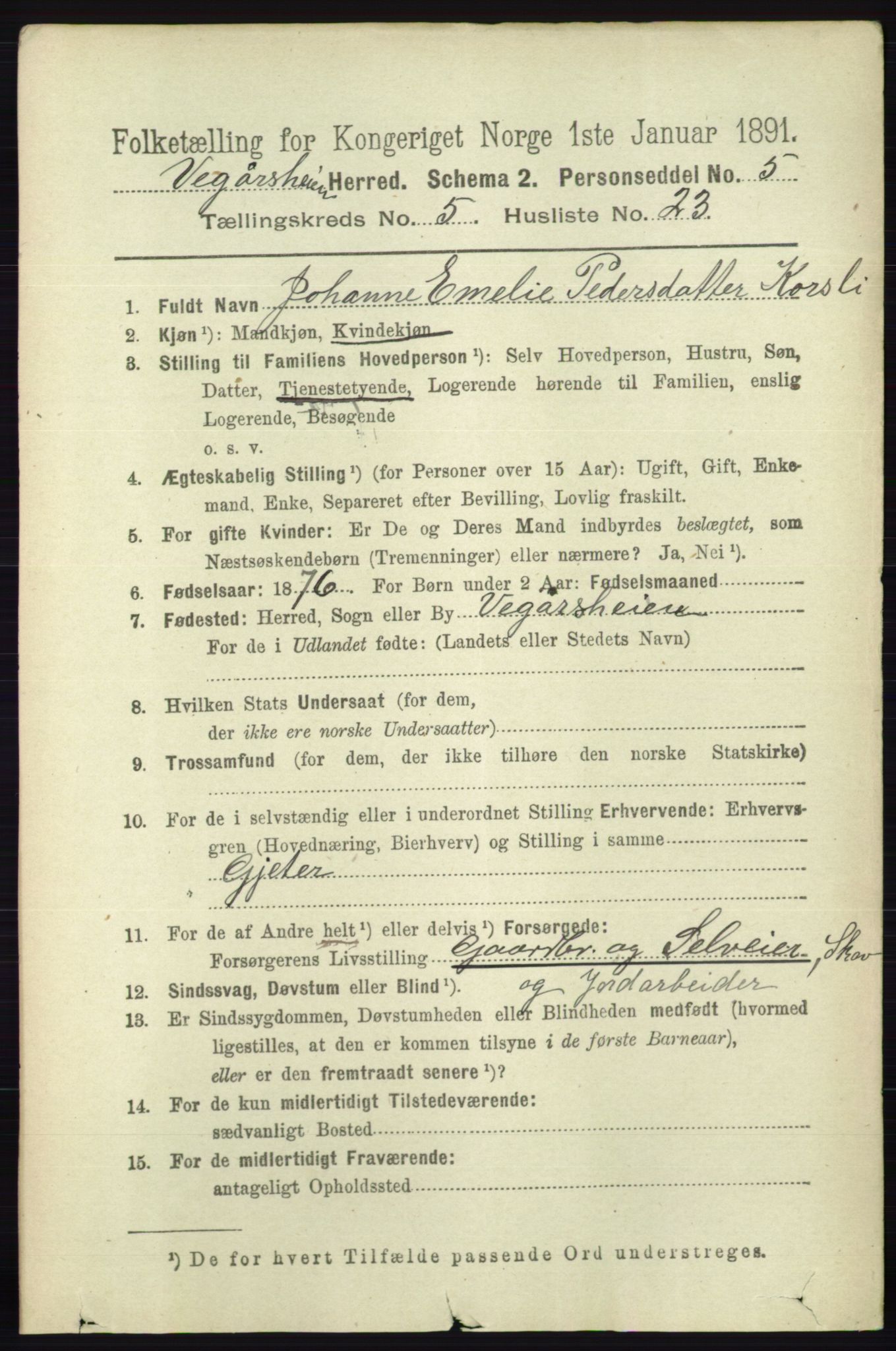 RA, 1891 census for 0912 Vegårshei, 1891, p. 1135