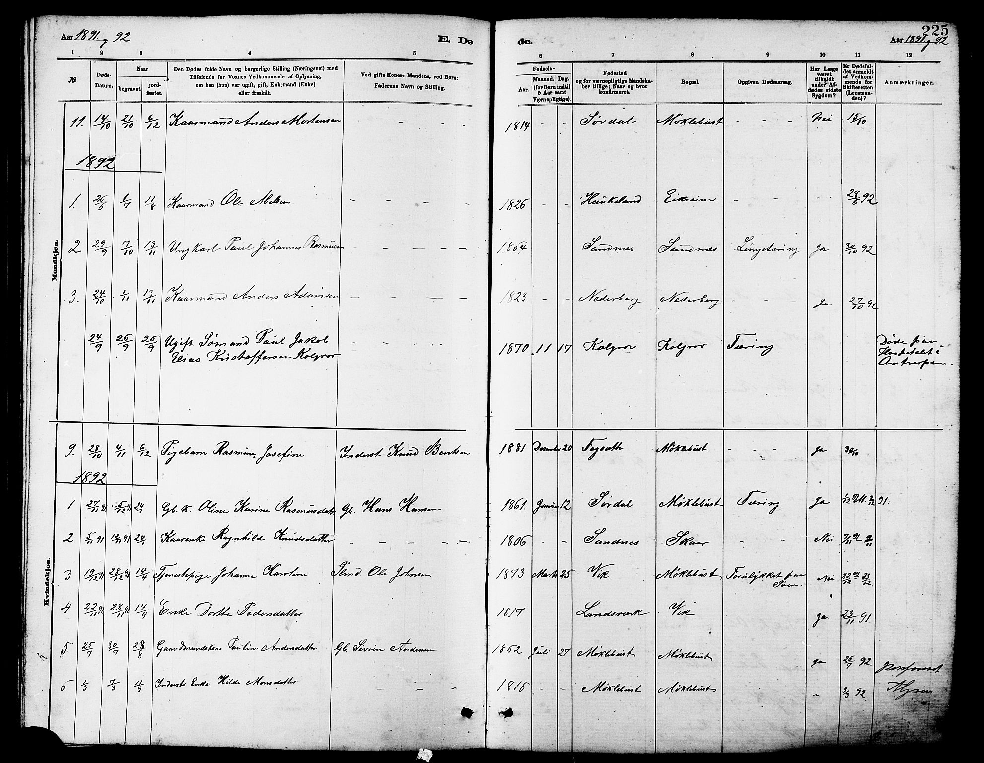 Ministerialprotokoller, klokkerbøker og fødselsregistre - Møre og Romsdal, AV/SAT-A-1454/502/L0027: Parish register (copy) no. 502C01, 1878-1908, p. 225