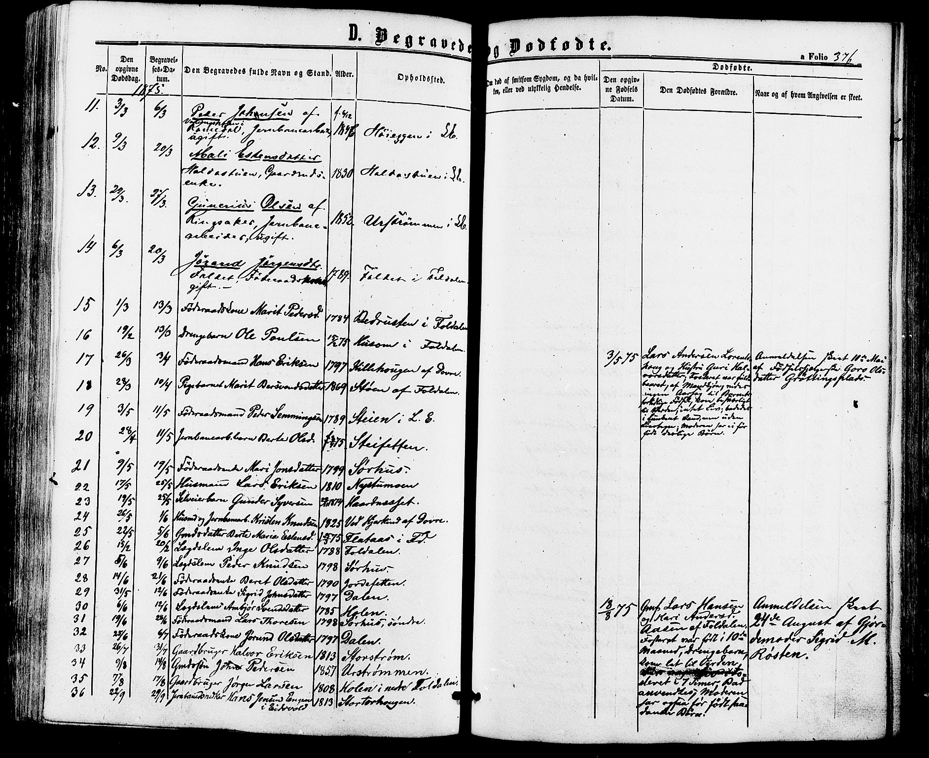 Alvdal prestekontor, SAH/PREST-060/H/Ha/Haa/L0001: Parish register (official) no. 1, 1863-1882, p. 376