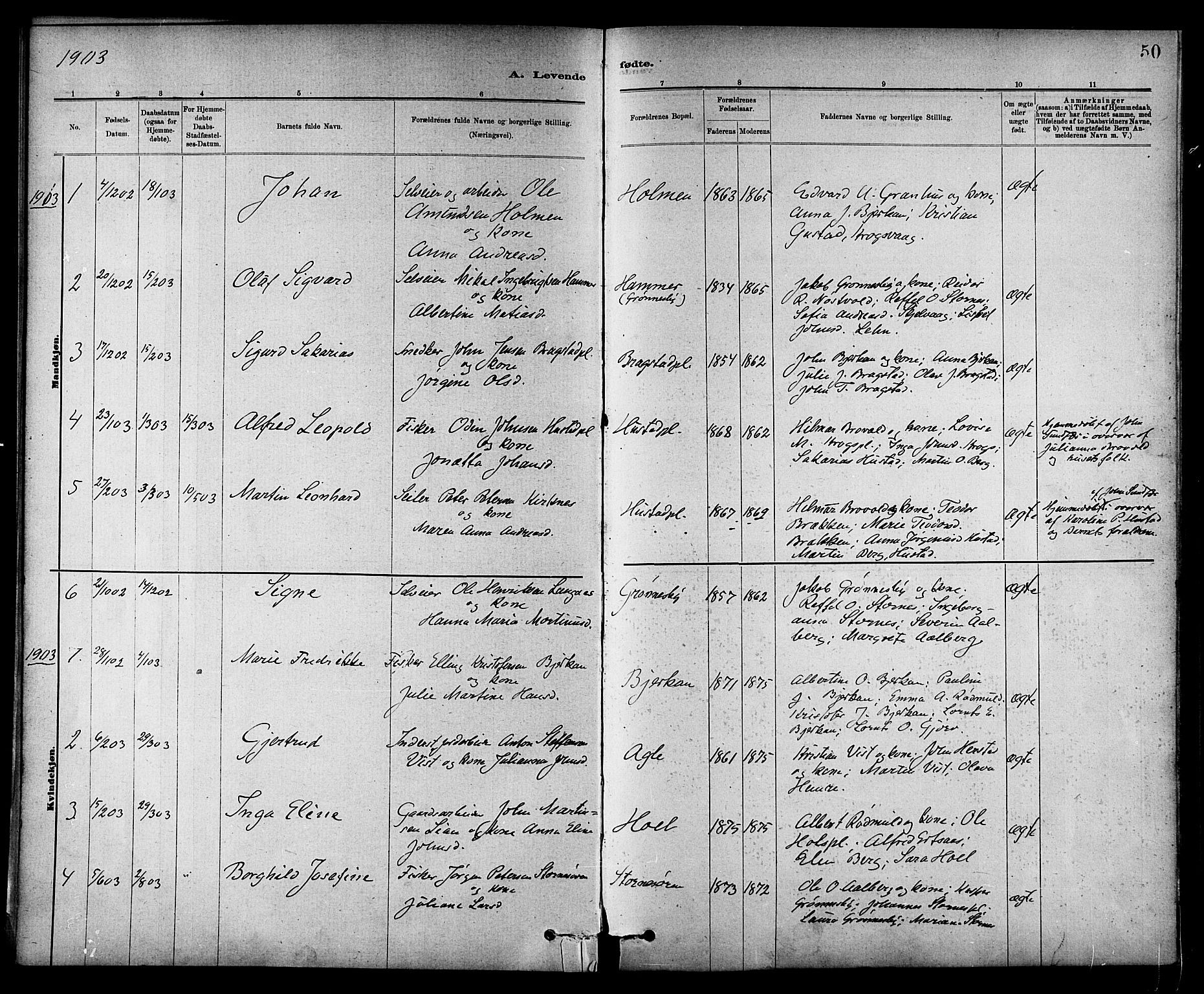 Ministerialprotokoller, klokkerbøker og fødselsregistre - Nord-Trøndelag, SAT/A-1458/732/L0318: Parish register (copy) no. 732C02, 1881-1911, p. 50