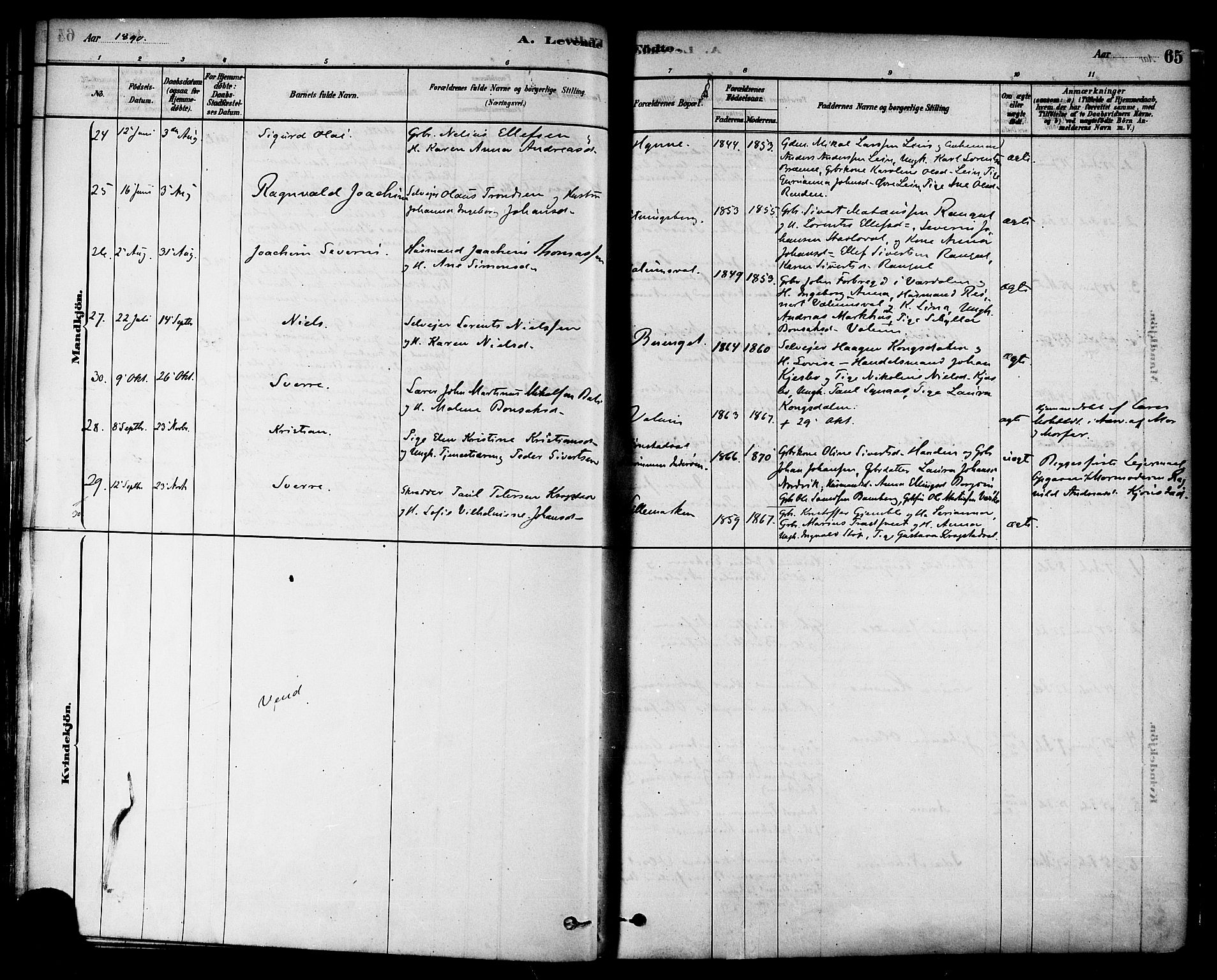 Ministerialprotokoller, klokkerbøker og fødselsregistre - Nord-Trøndelag, AV/SAT-A-1458/717/L0159: Parish register (official) no. 717A09, 1878-1898, p. 65